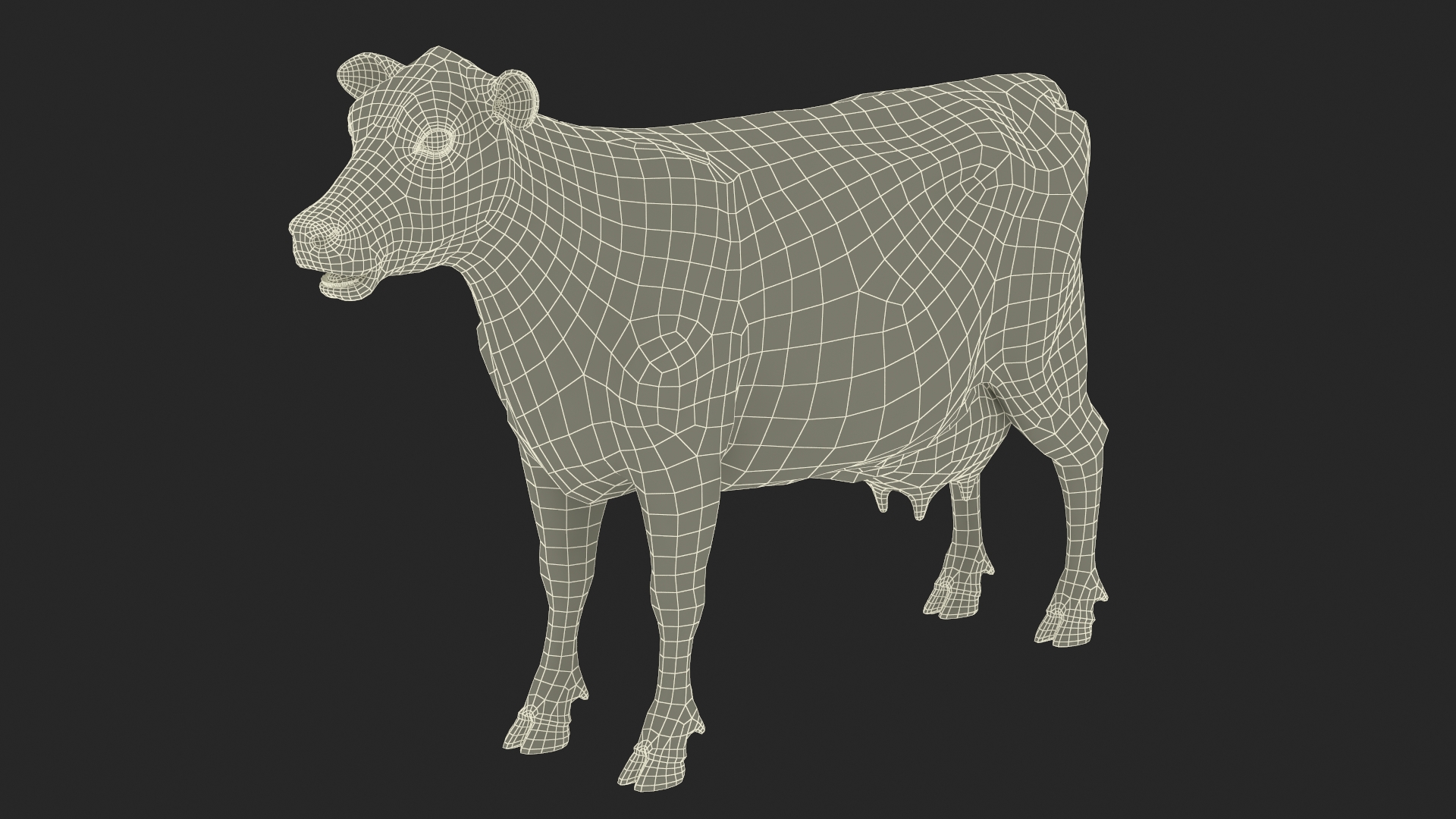 3D model Cattle Cow