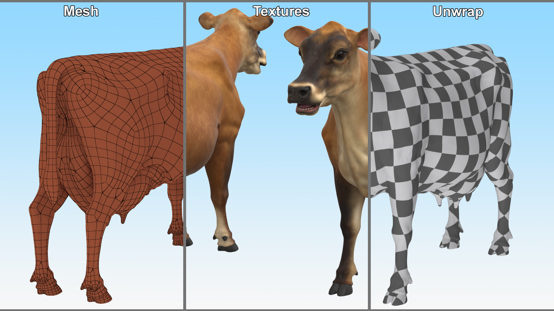 3D model Cattle Cow