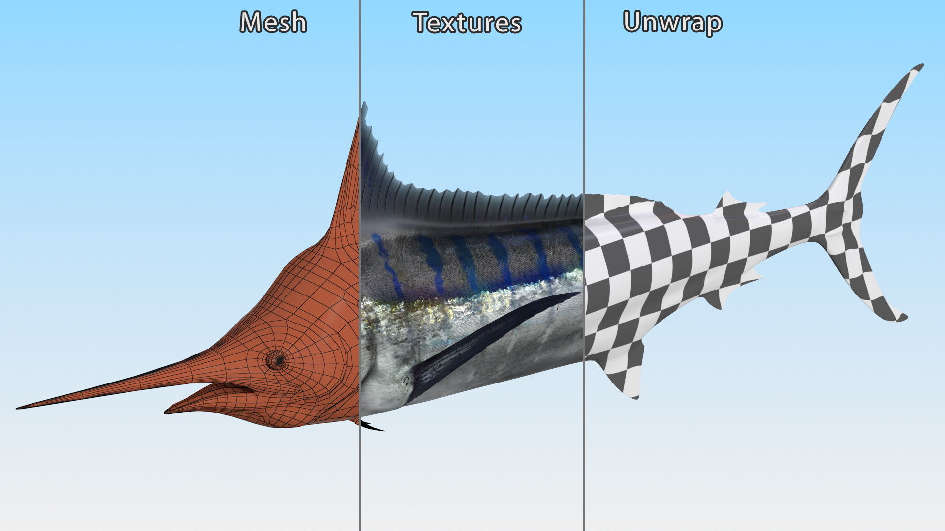 Black Marlin Fish 3D