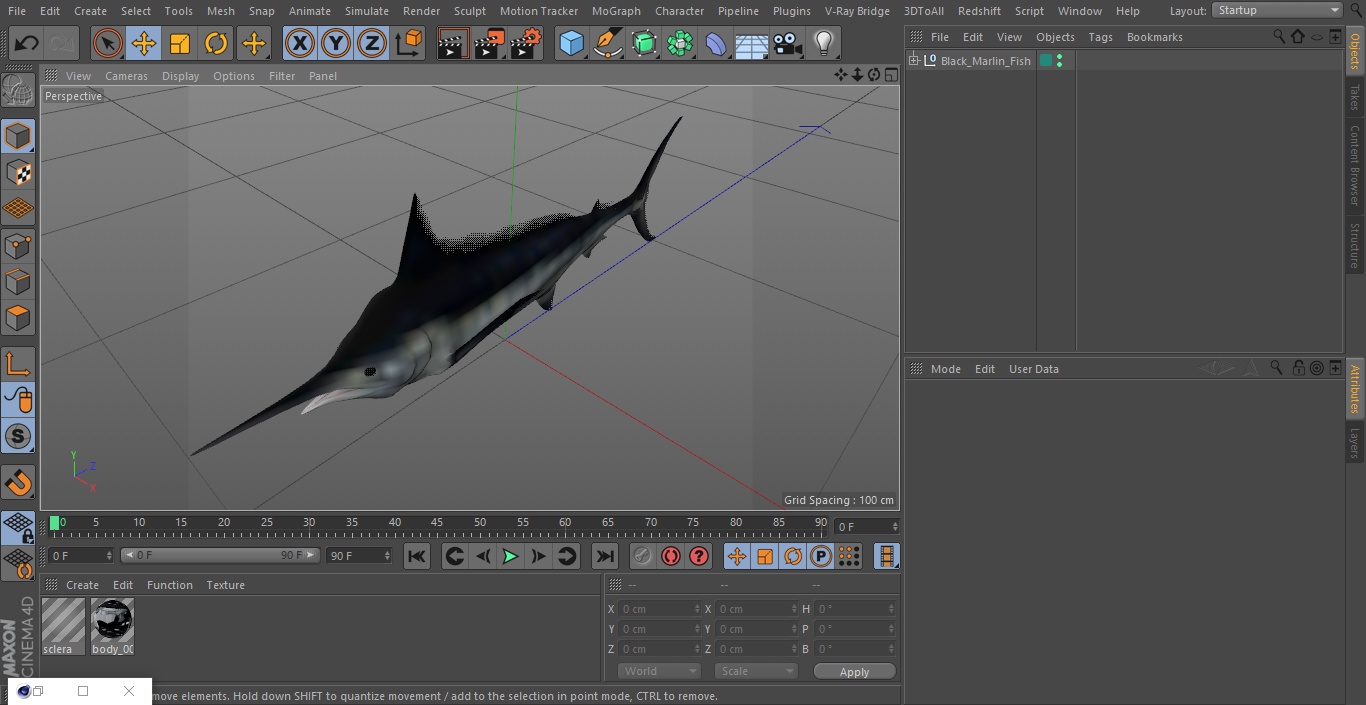 Black Marlin Fish 3D