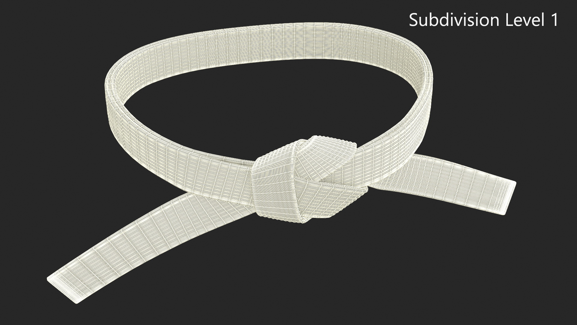 3D Waist White Martial Arts Obi Belts Set model