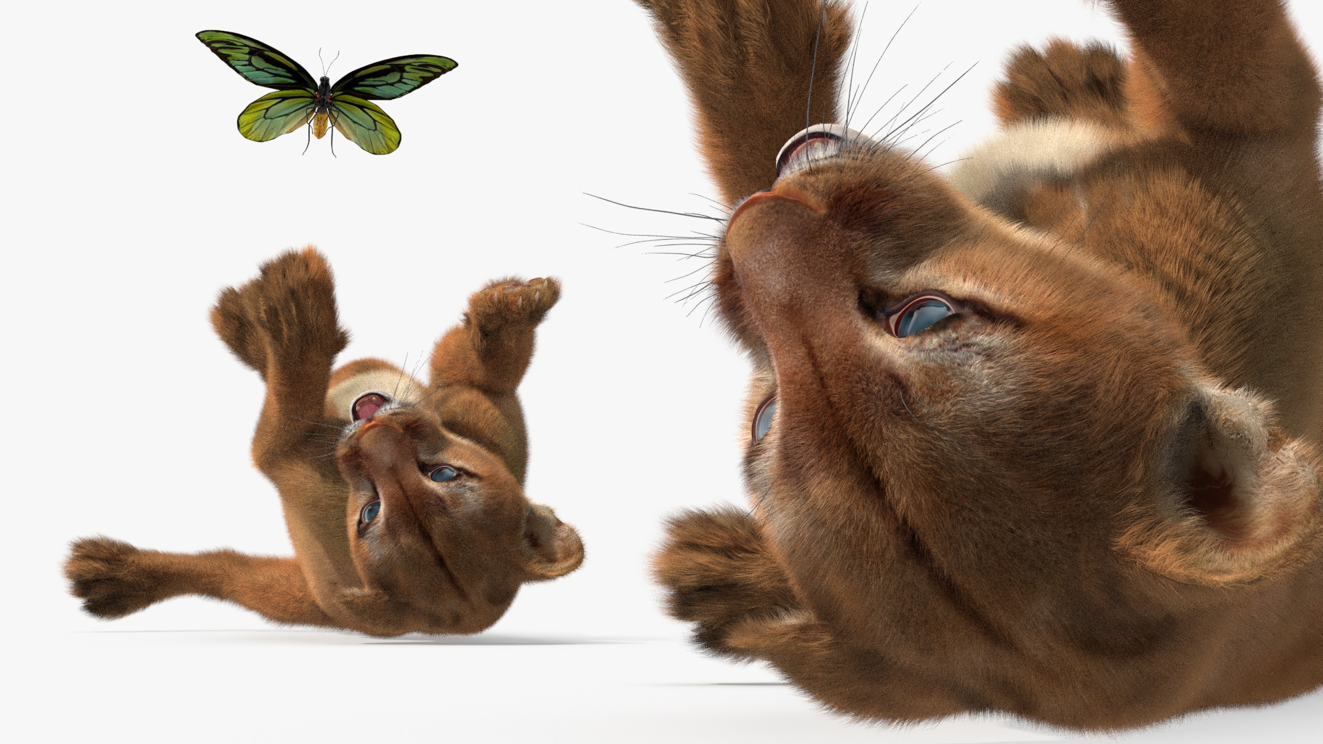 3D model Playful Puma Cub with Butterfly Fur