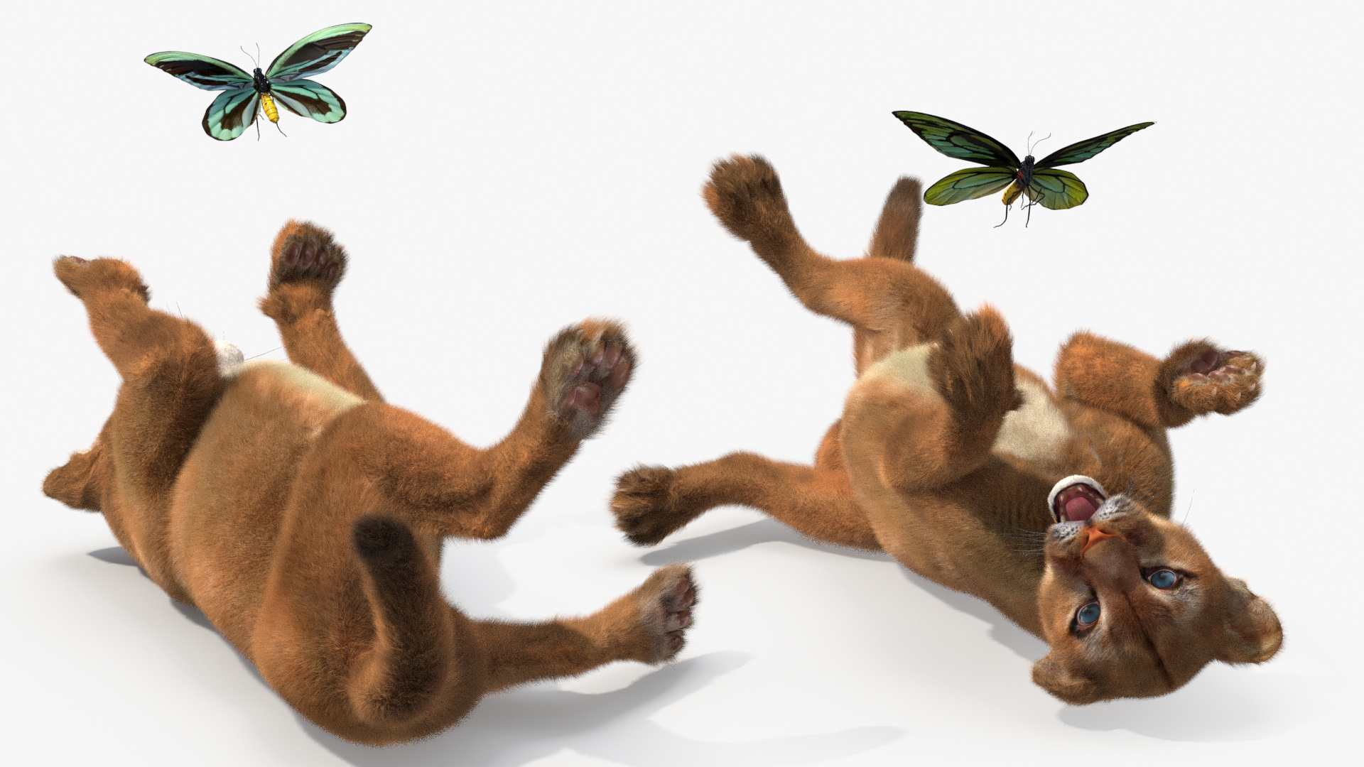 3D model Playful Puma Cub with Butterfly Fur