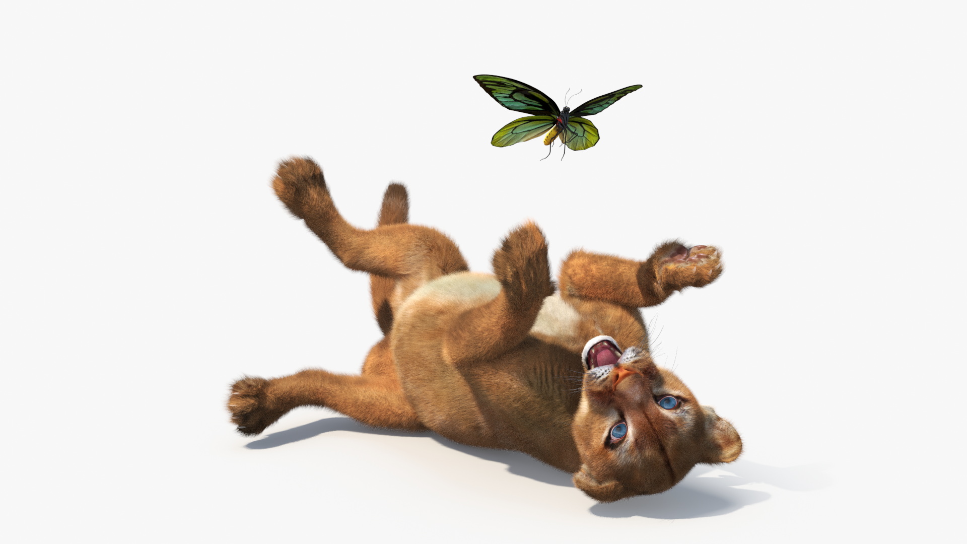 3D model Playful Puma Cub with Butterfly Fur