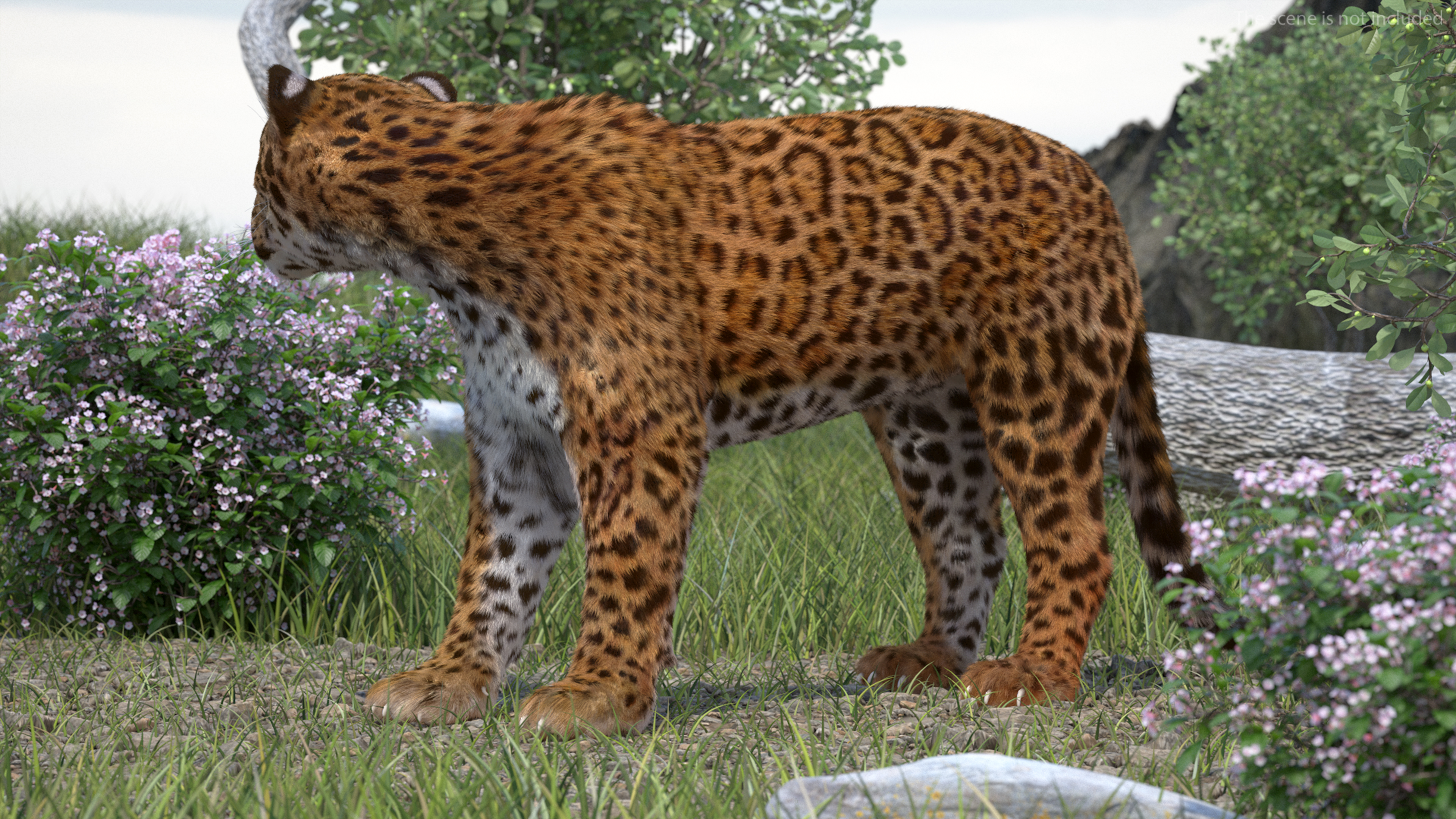 3D Jaguar Stand Pose Fur