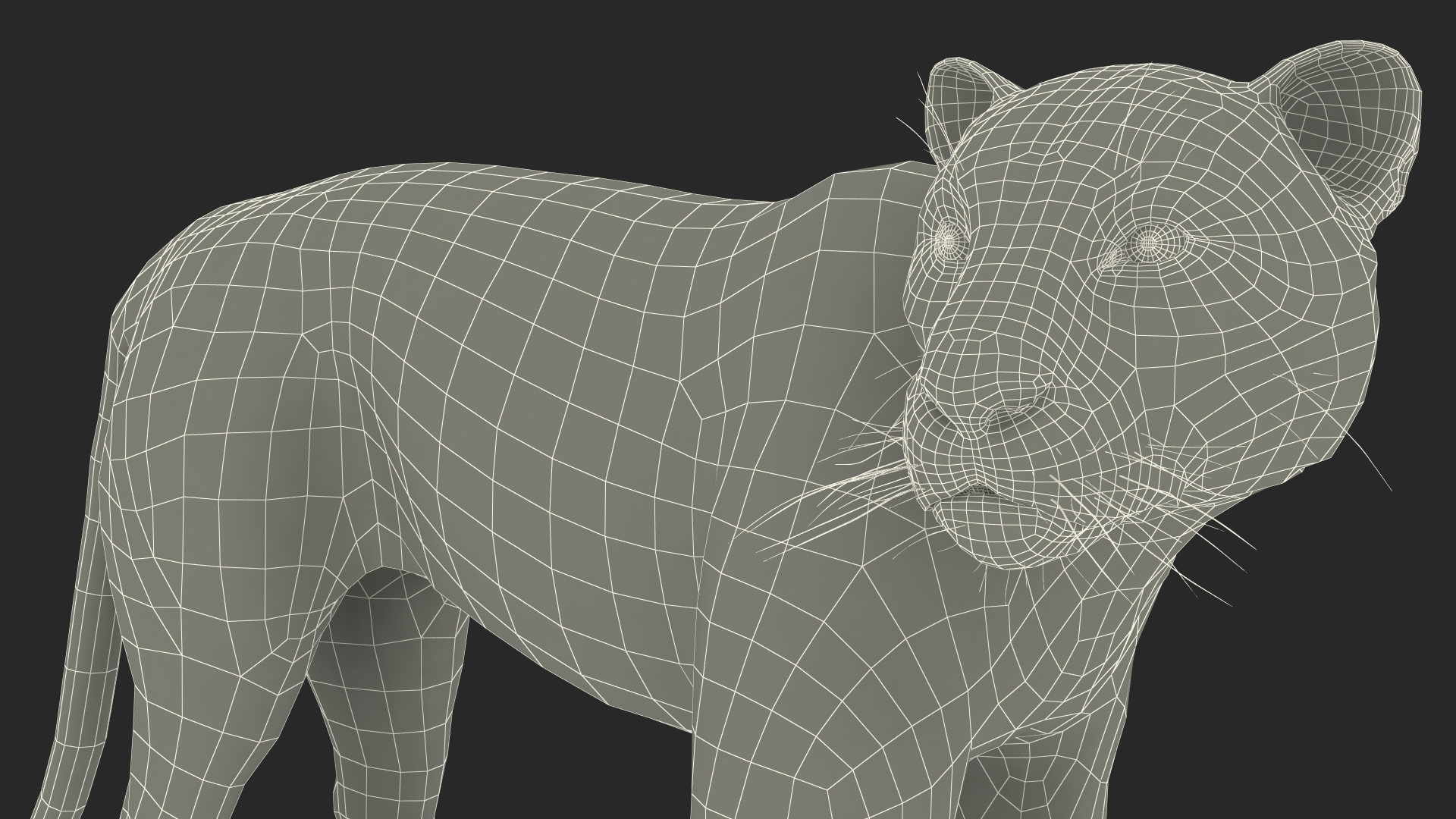 3D Jaguar Stand Pose Fur