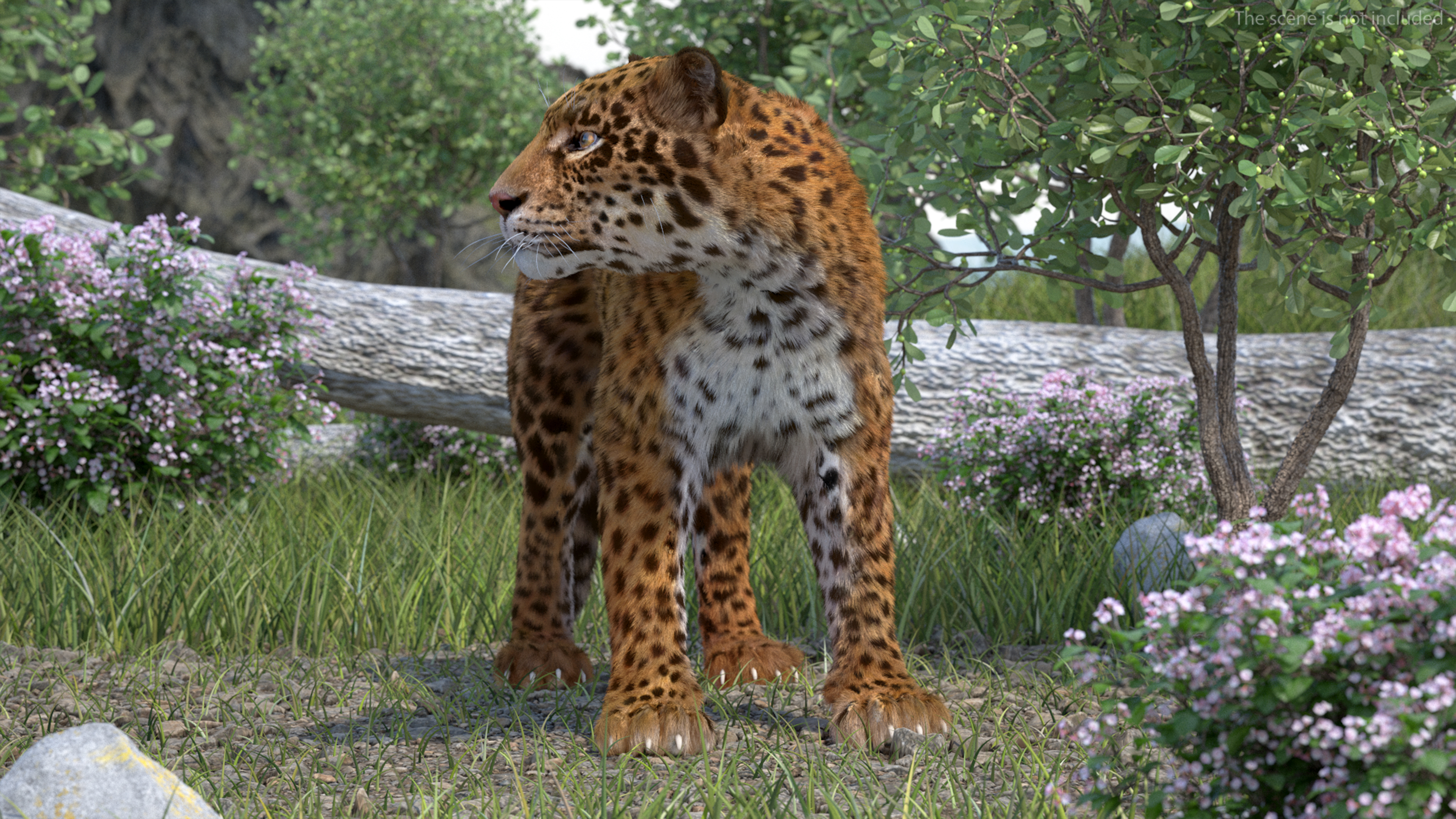 3D Jaguar Stand Pose Fur