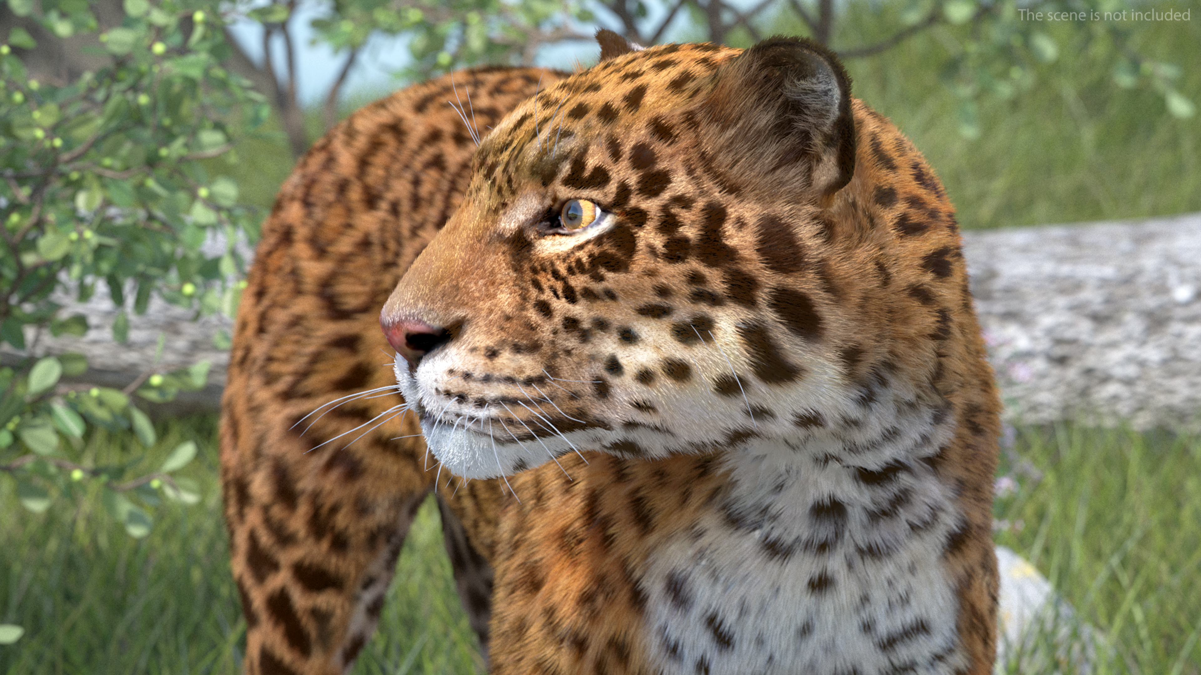 3D Jaguar Stand Pose Fur