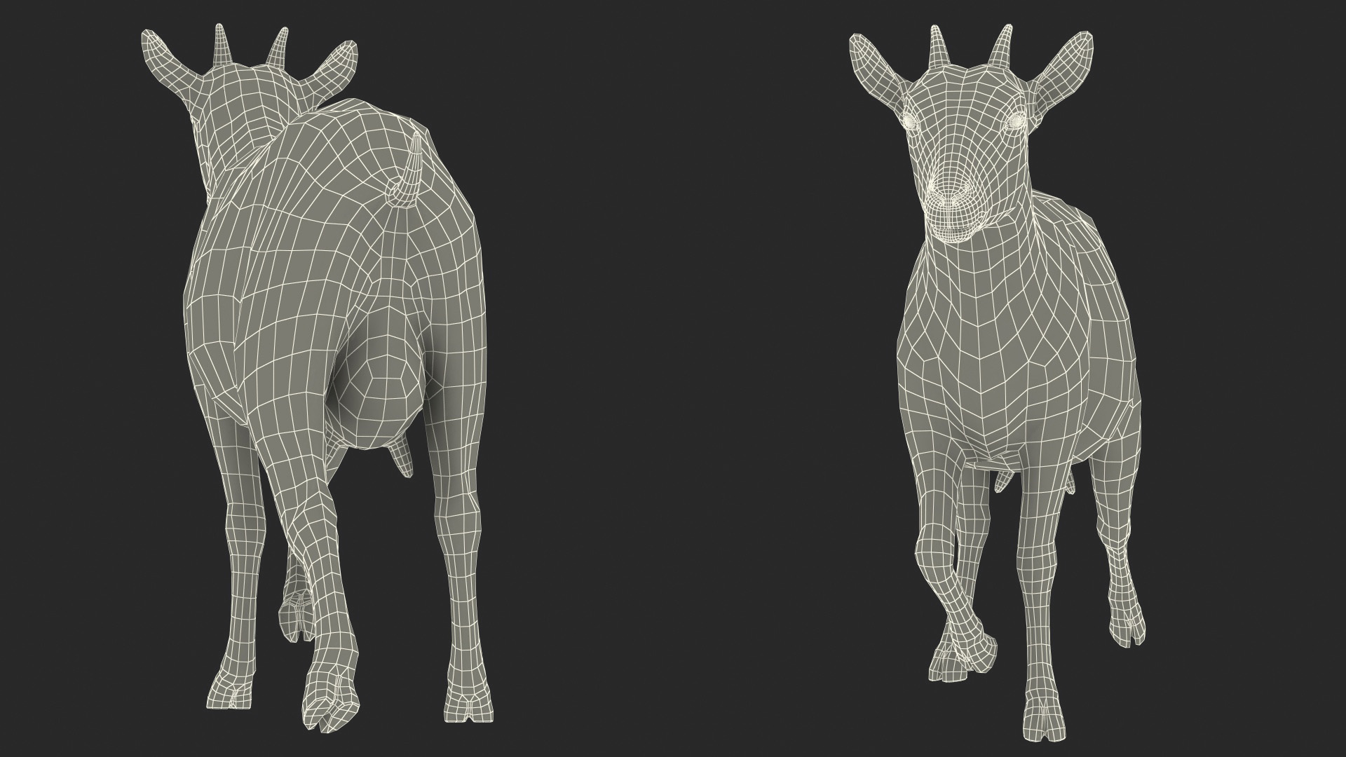 Walking Goat 3D