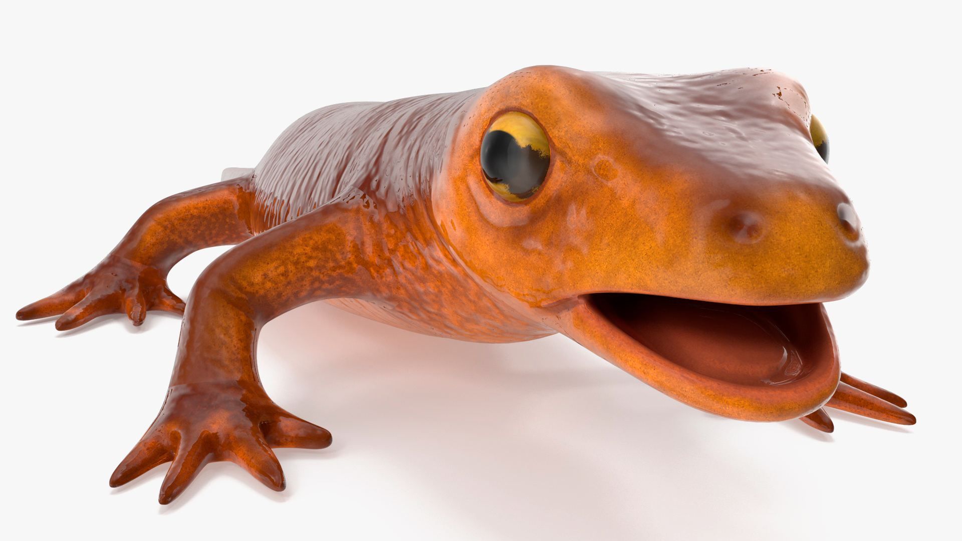 3D model California Newt