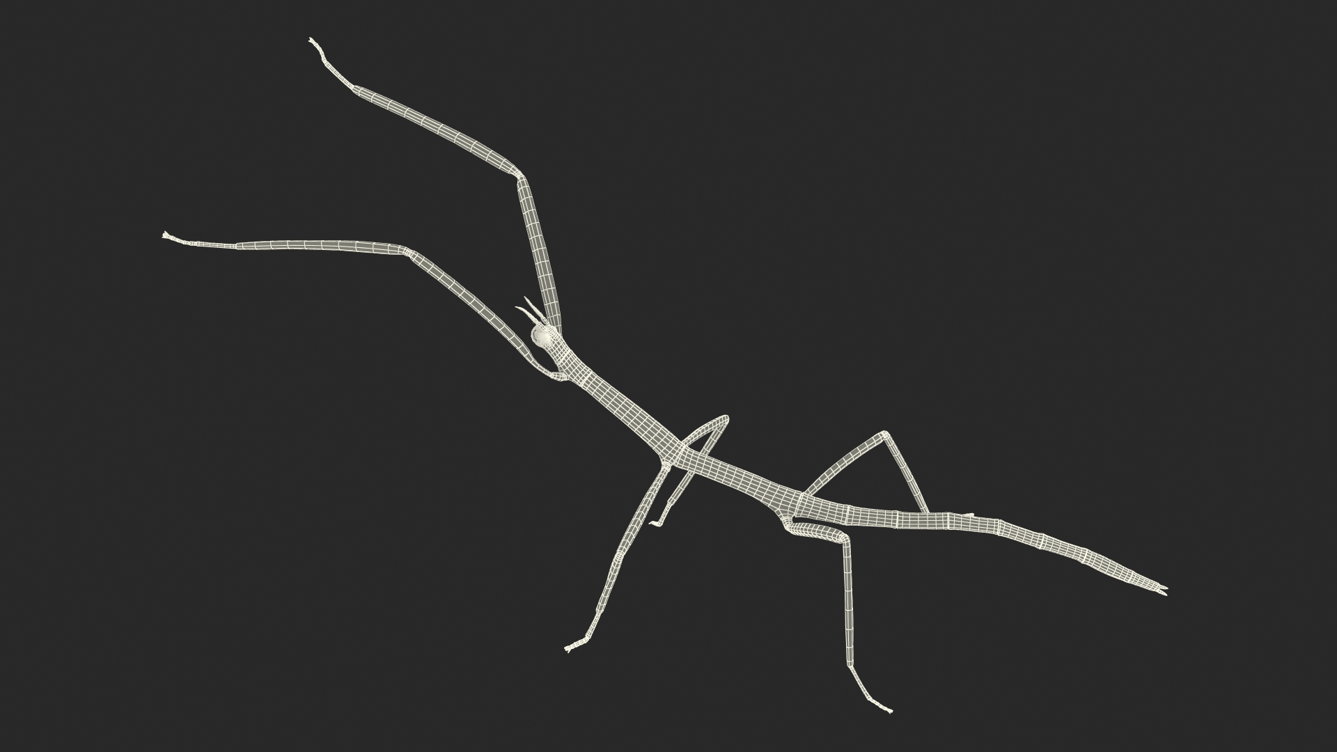 3D Phasmatodea Stick Insect Attack