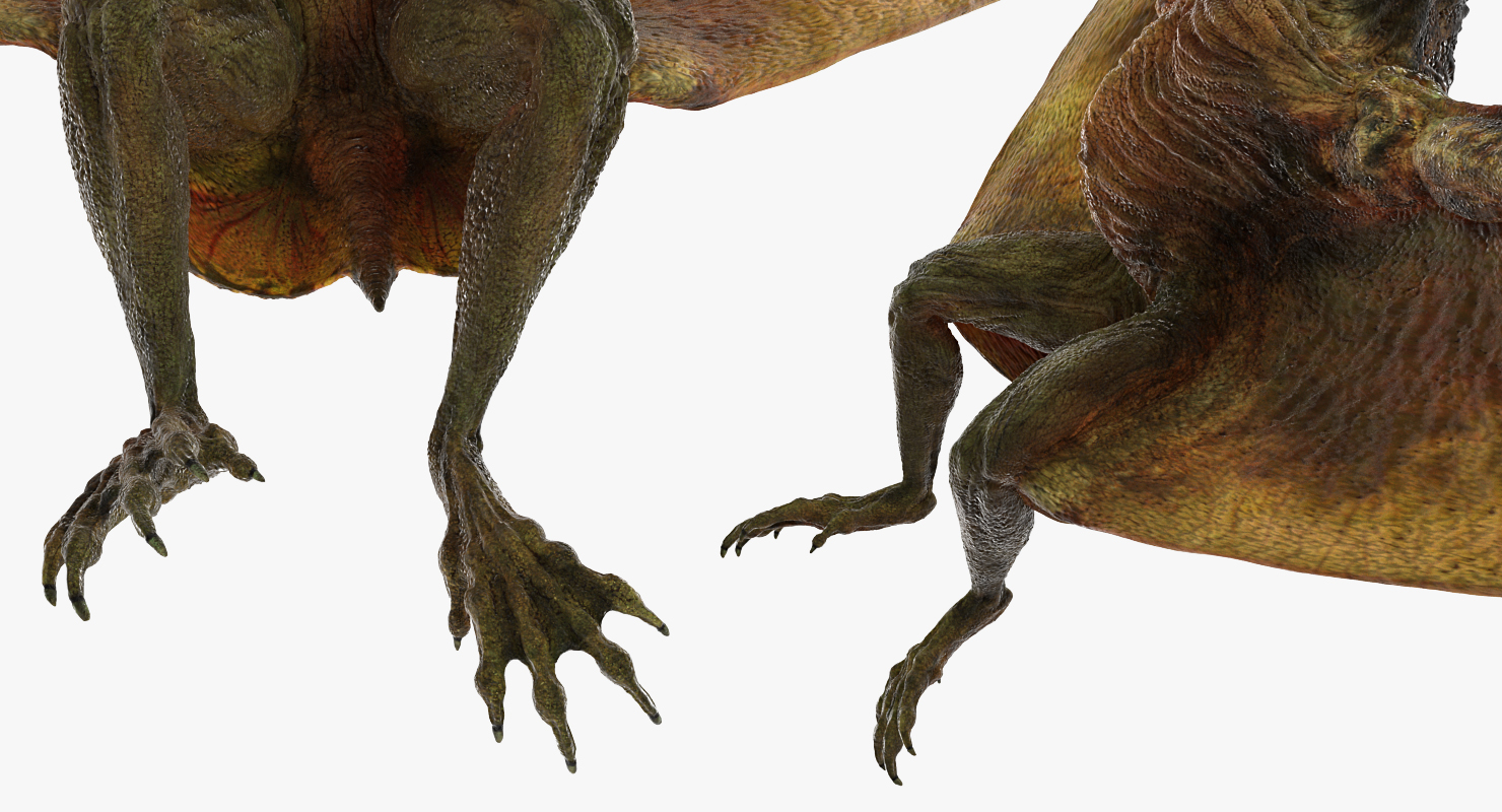 Pteranodon Flying Carnivorous Reptile Rigged 3D model