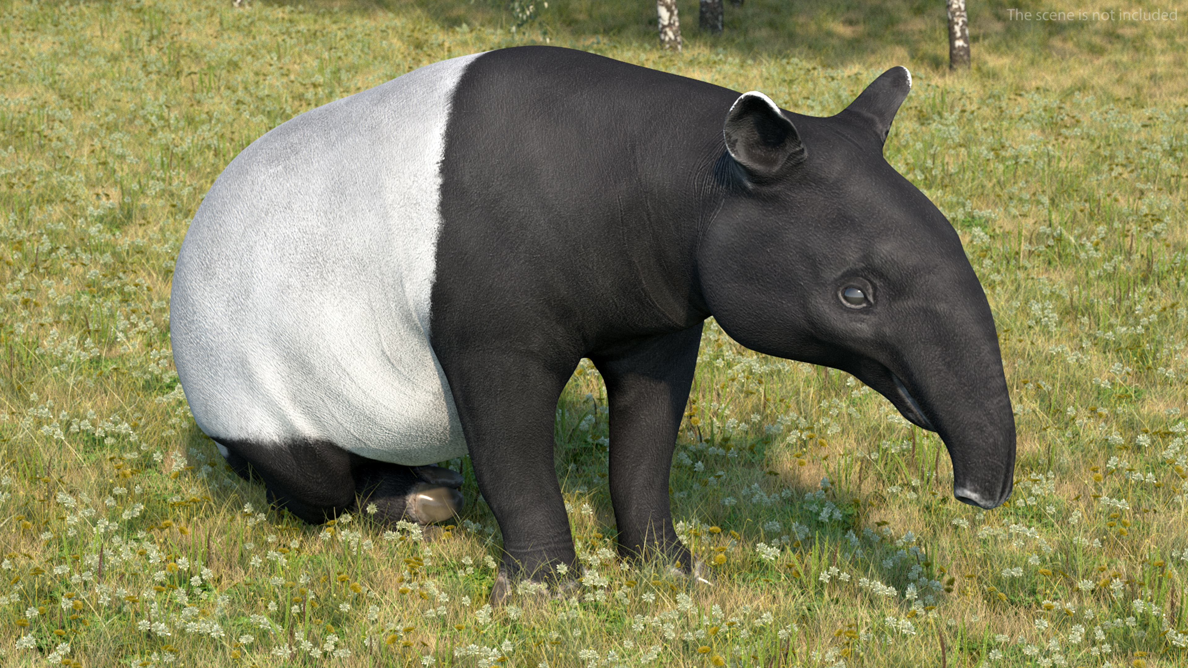 Tapir Rigged 3D