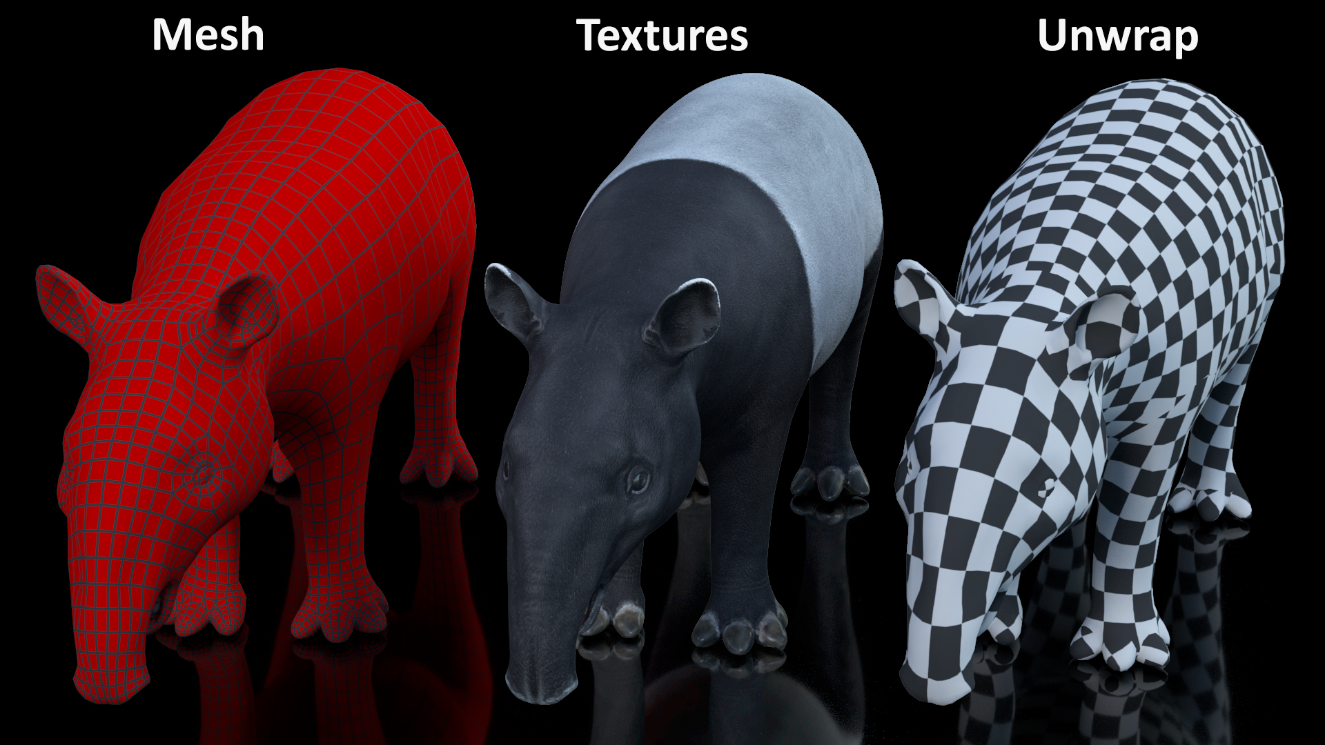 3D Tapir Rigged for Cinema 4D