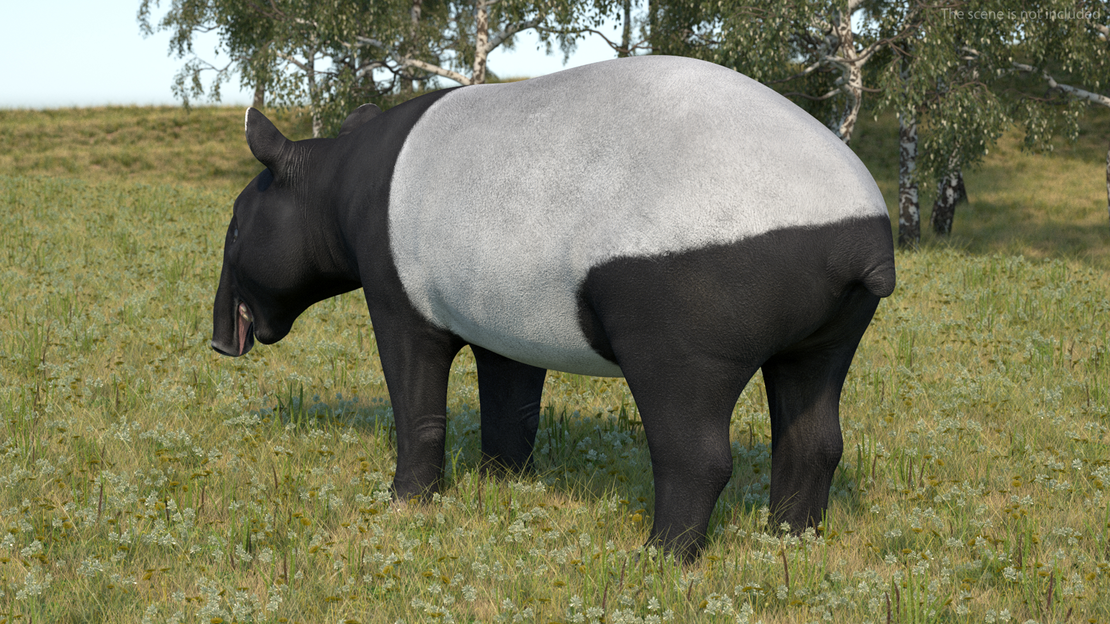 Tapir Rigged 3D