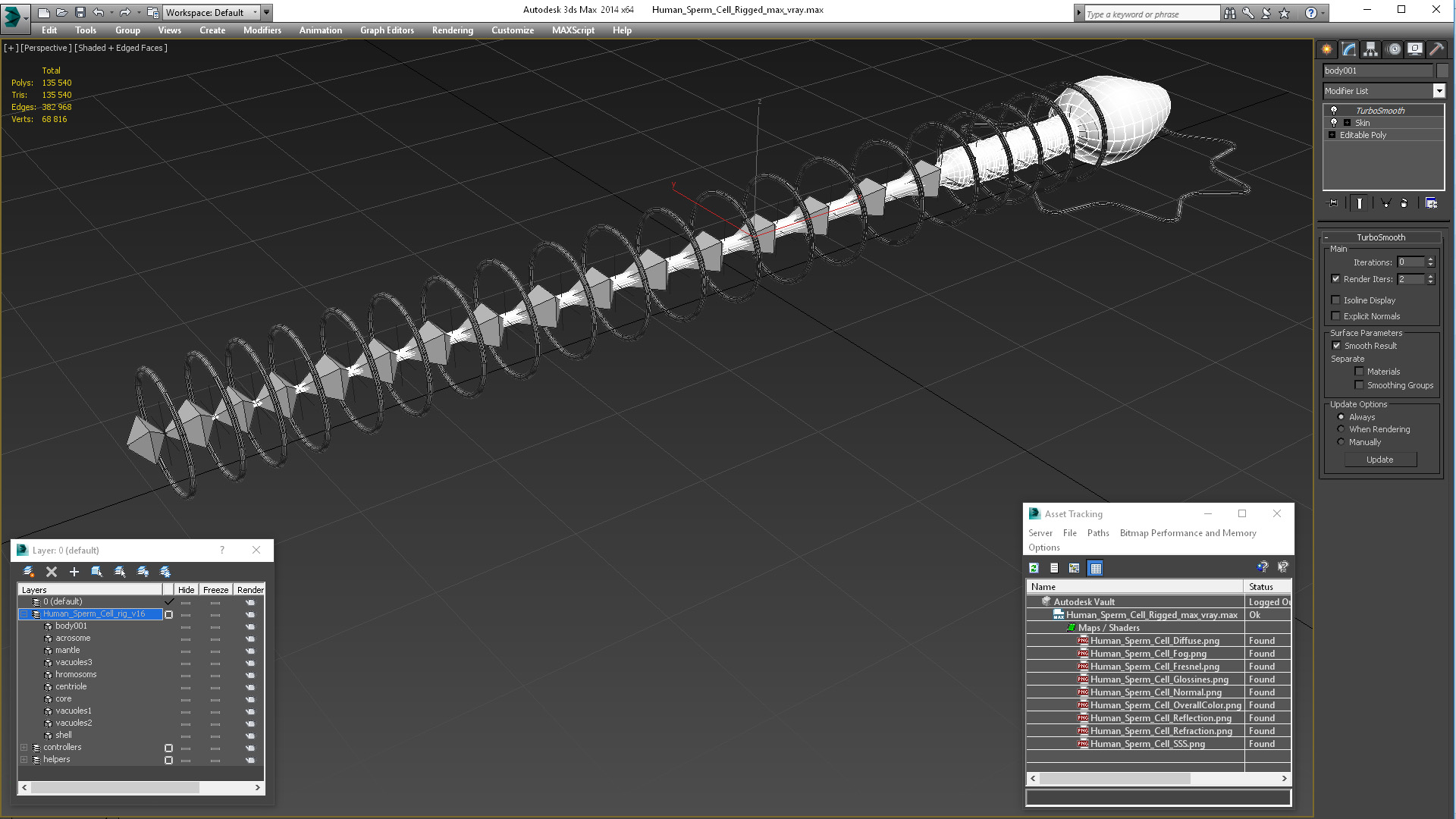 Human Sperm Cell Rigged for Cinema 4D 3D