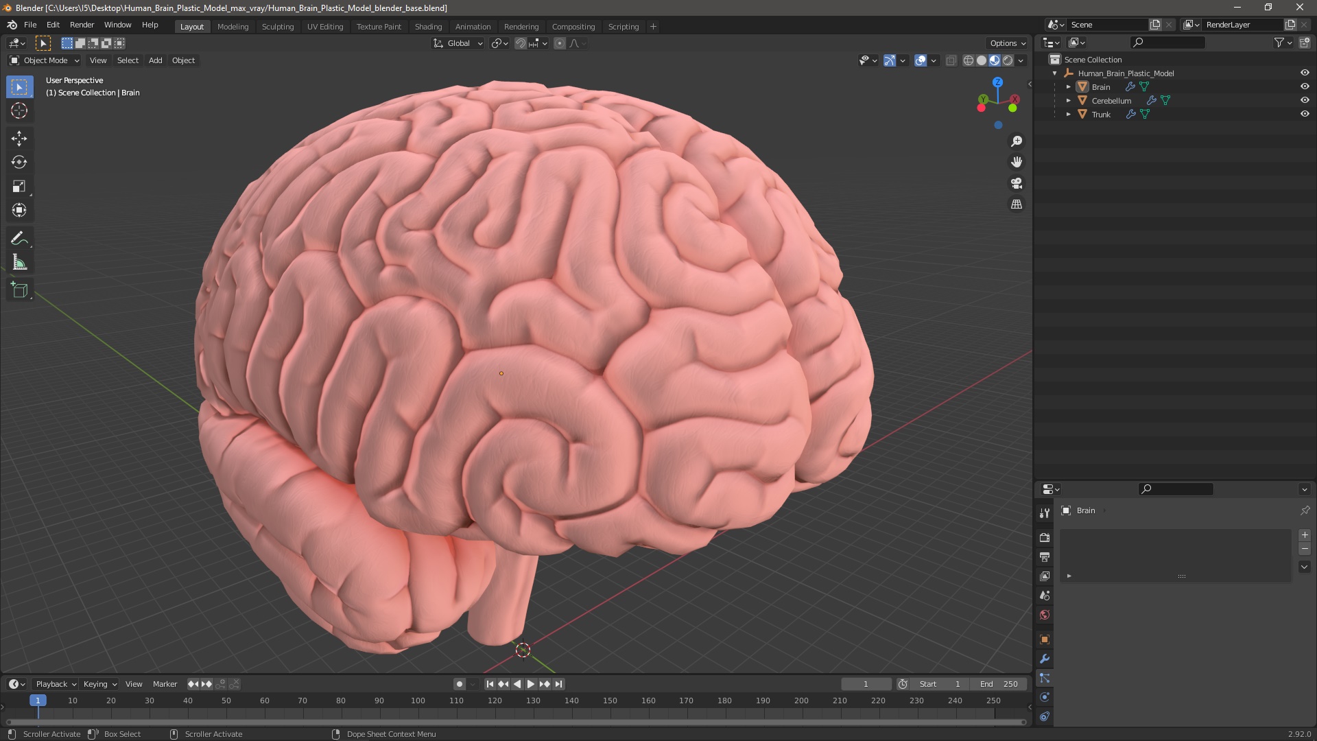 3D Human Brain Plastic Model for 3D Print model