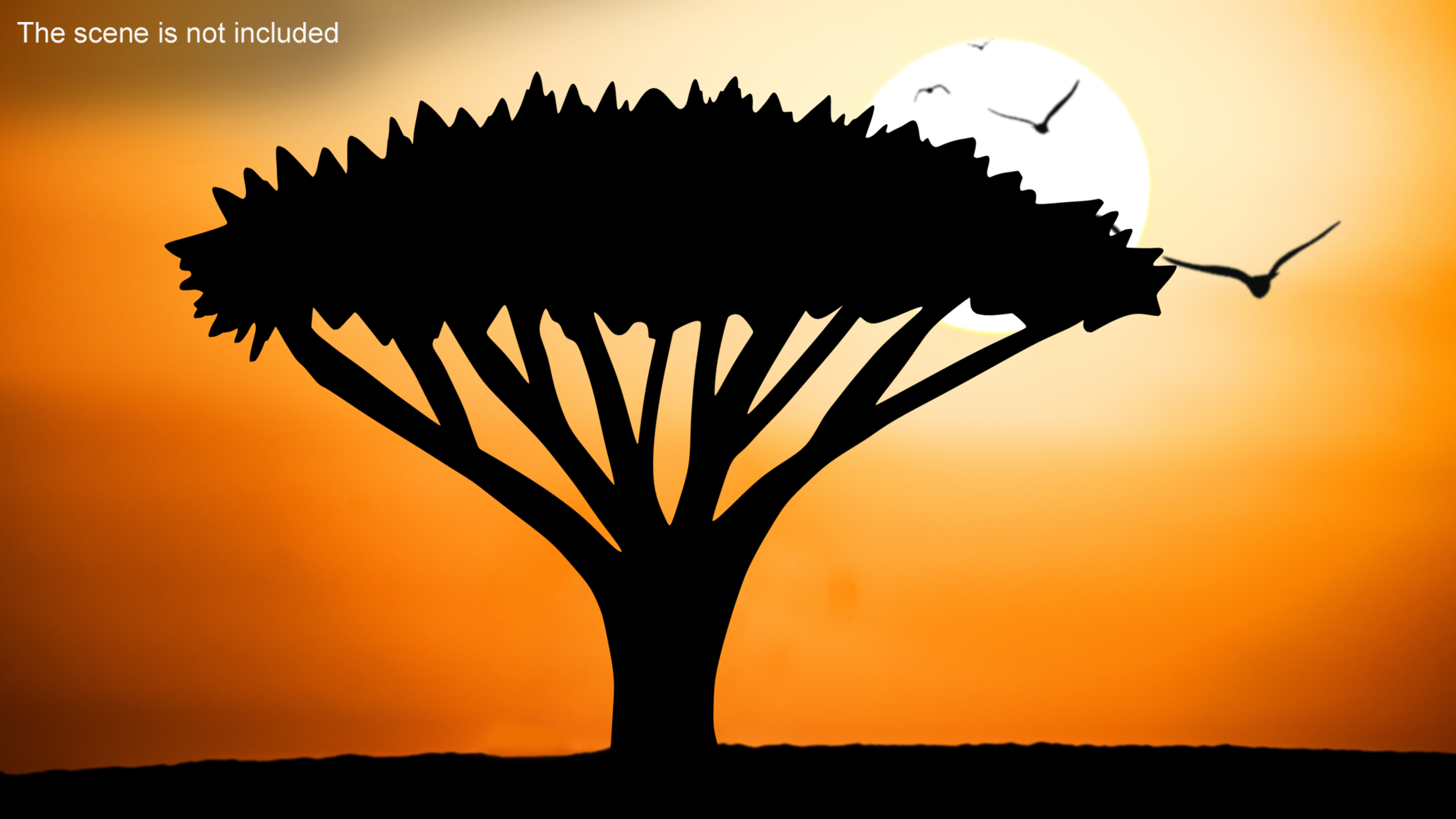 Acacia Tree Silhouette 3D