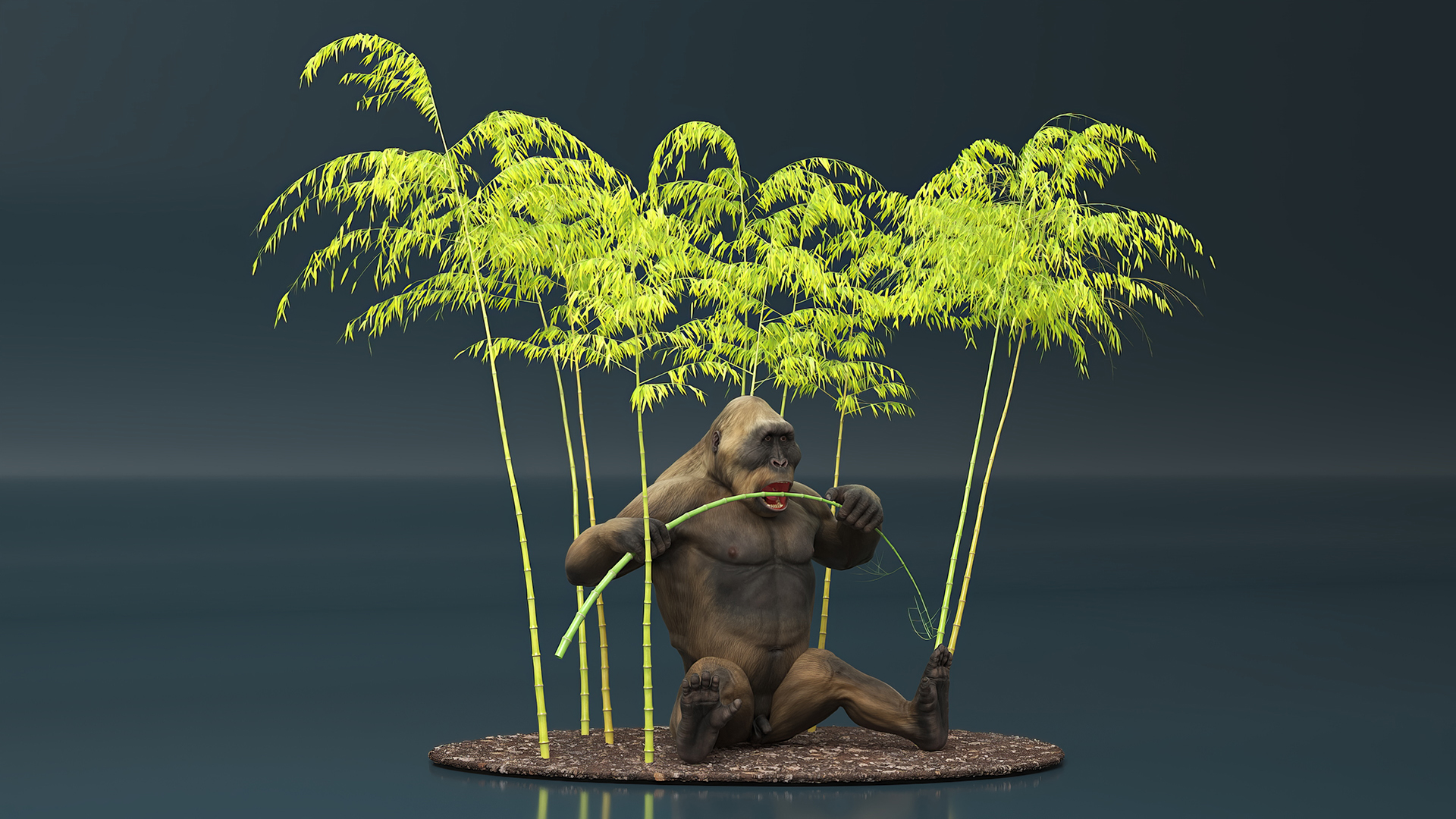 Big Ape Gigantopithecus Eats Bamboo Plants 3D