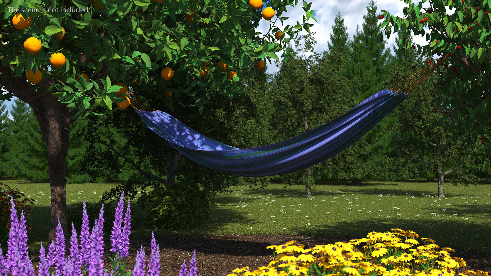 3D Striped Hammock Relaxation