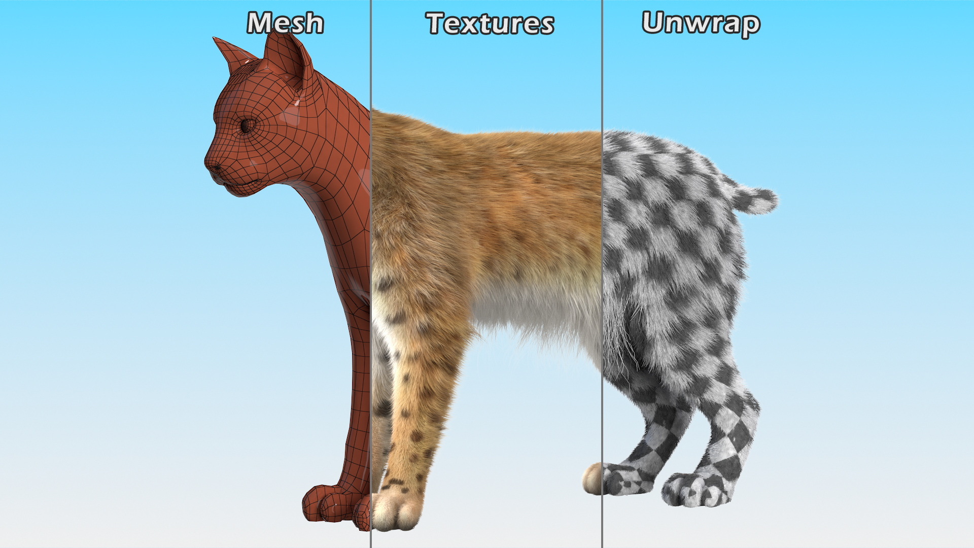 3D model Bobcat Fur