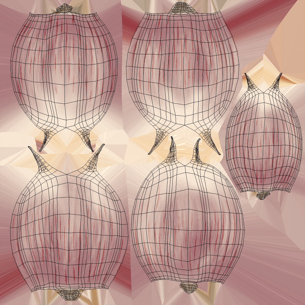 Five Garlic Cloves White 3D model