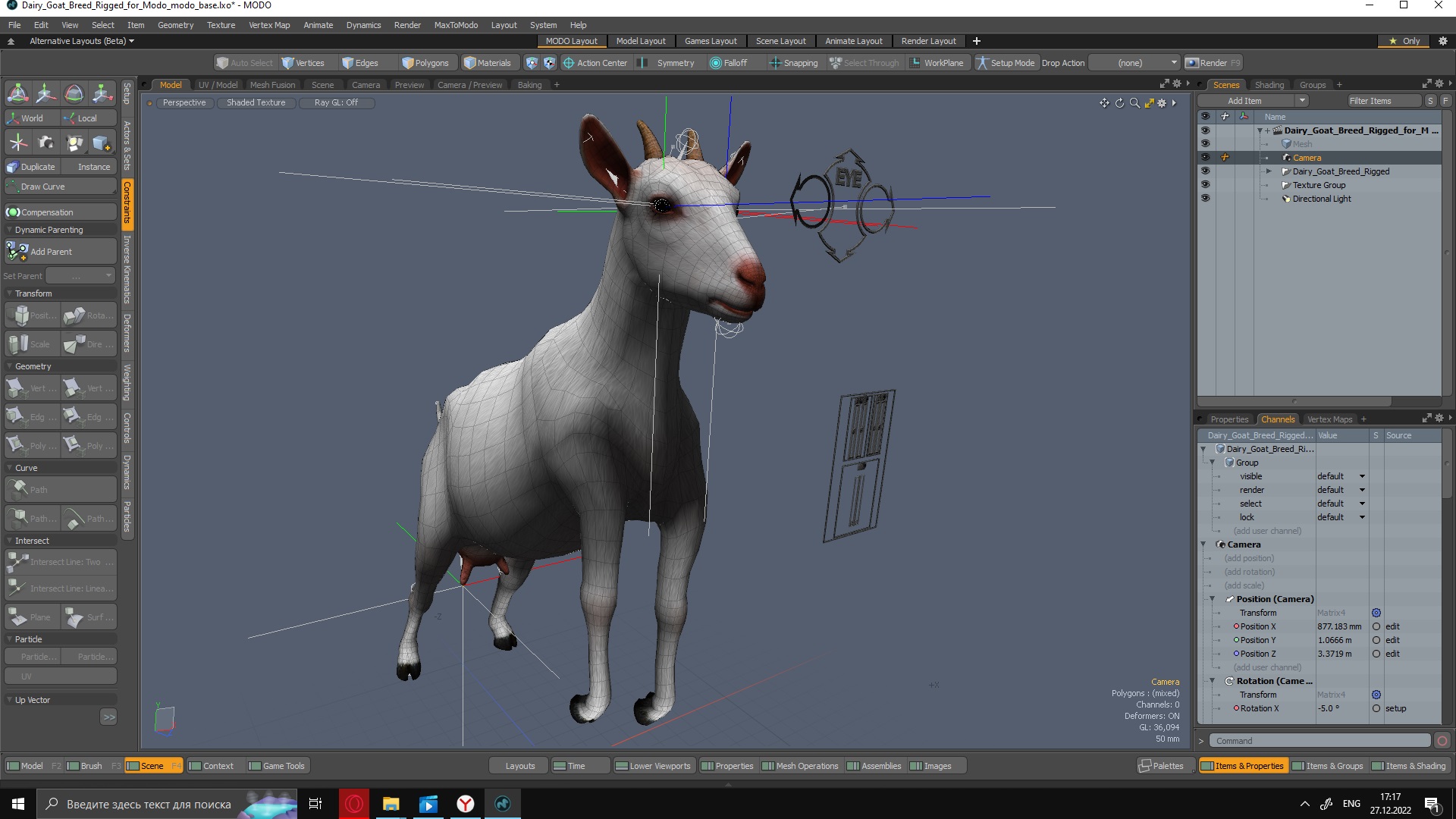 3D Goat Saanen Breed Rigged for Modo model