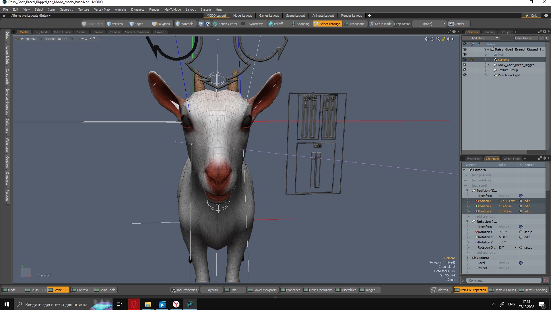 3D Goat Saanen Breed Rigged for Modo model