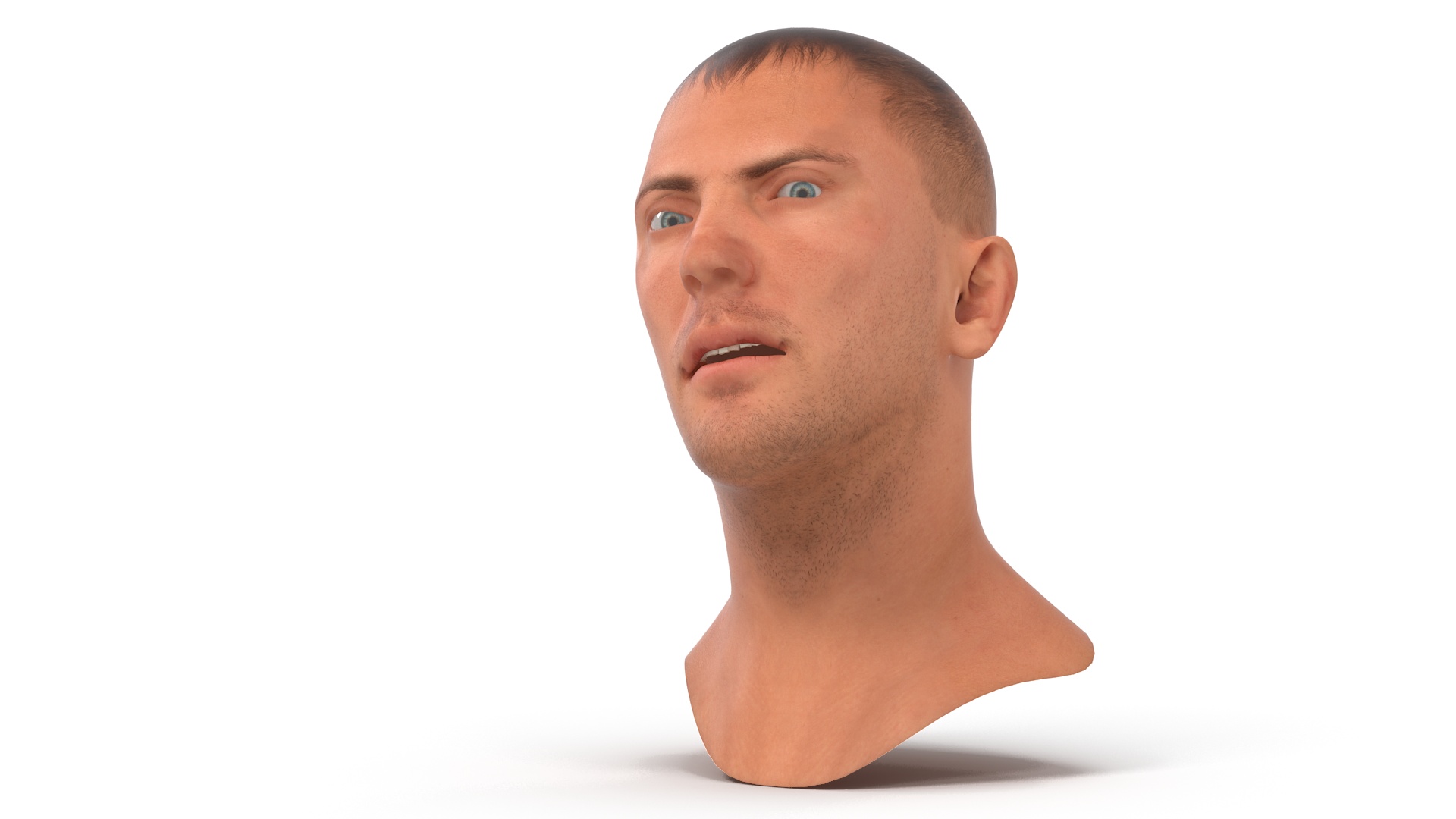 Caucasian Adult Male Head Rigged 3D