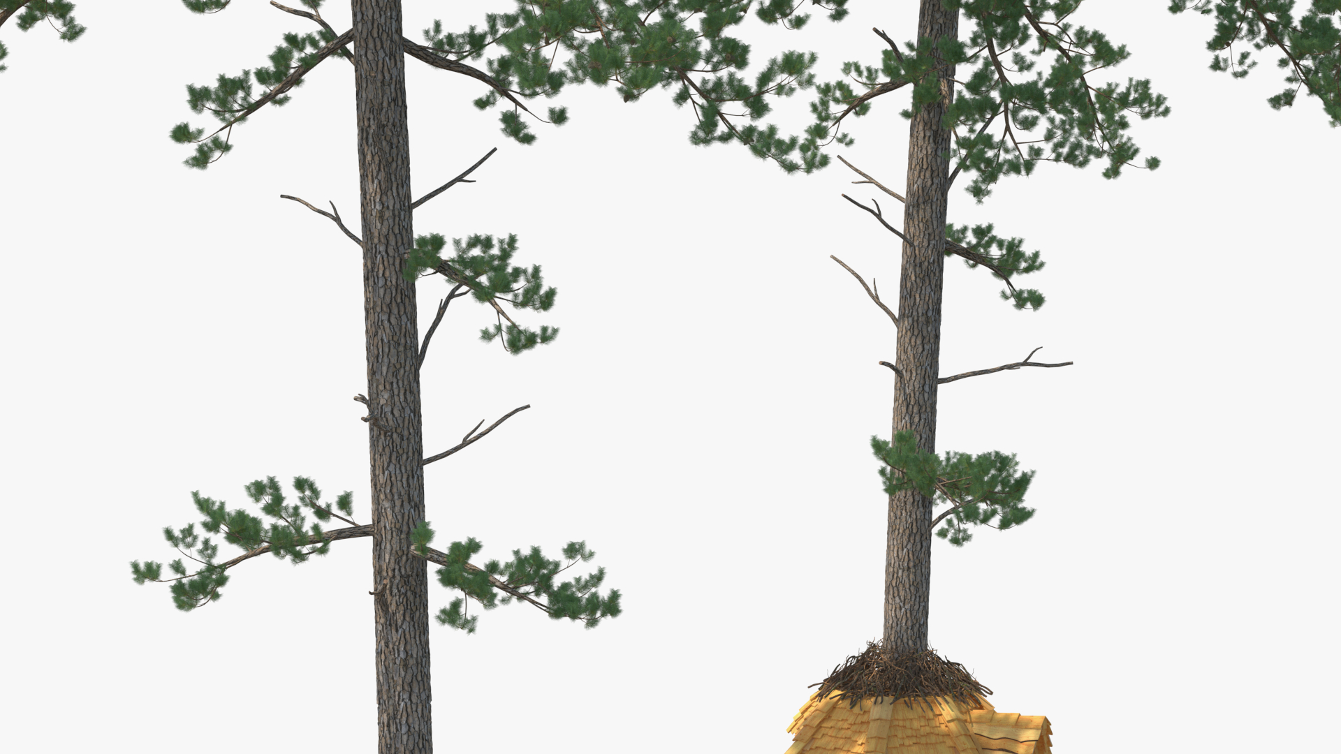 Large Tree House with Pines 3D