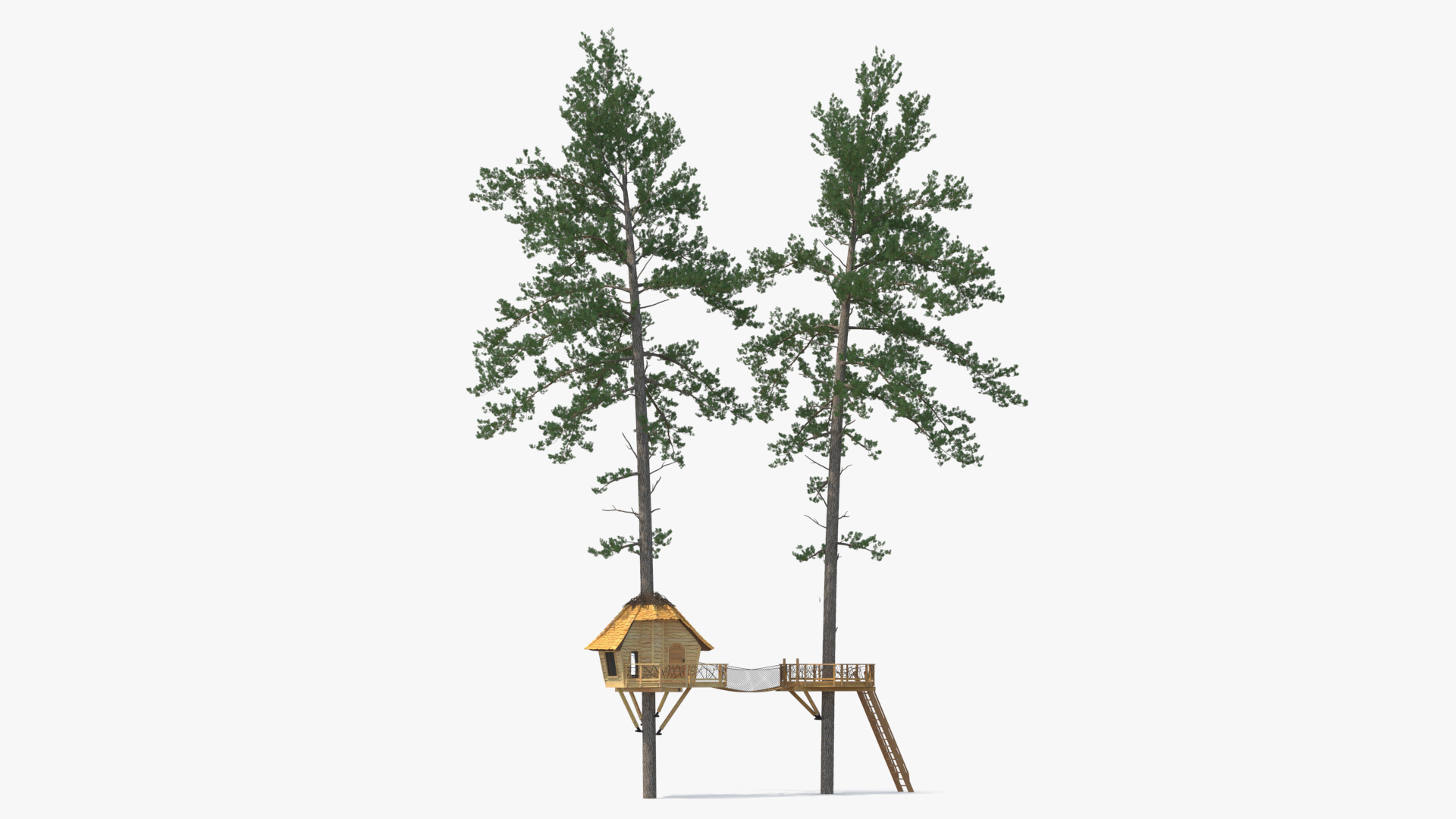 Large Tree House with Pines 3D