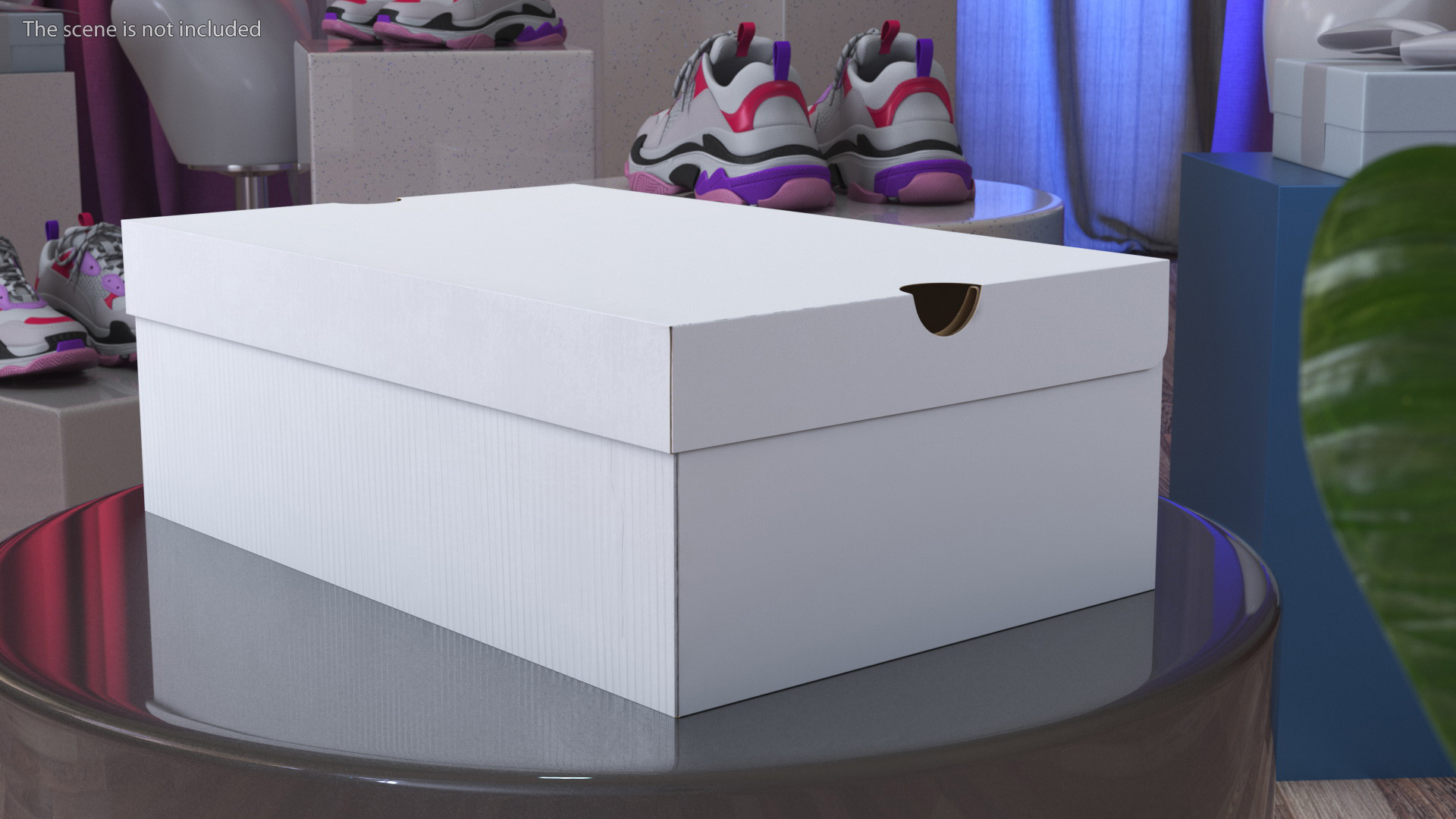 3D Shoes Packaging Box Closed