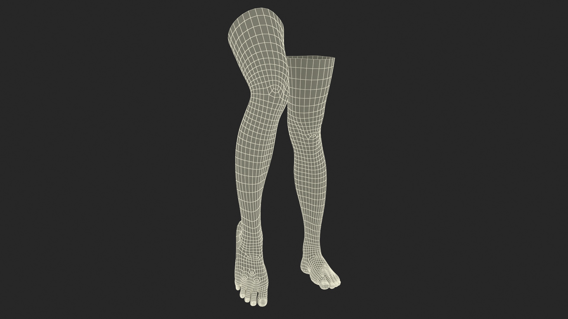 3D Female Legs Rigged model