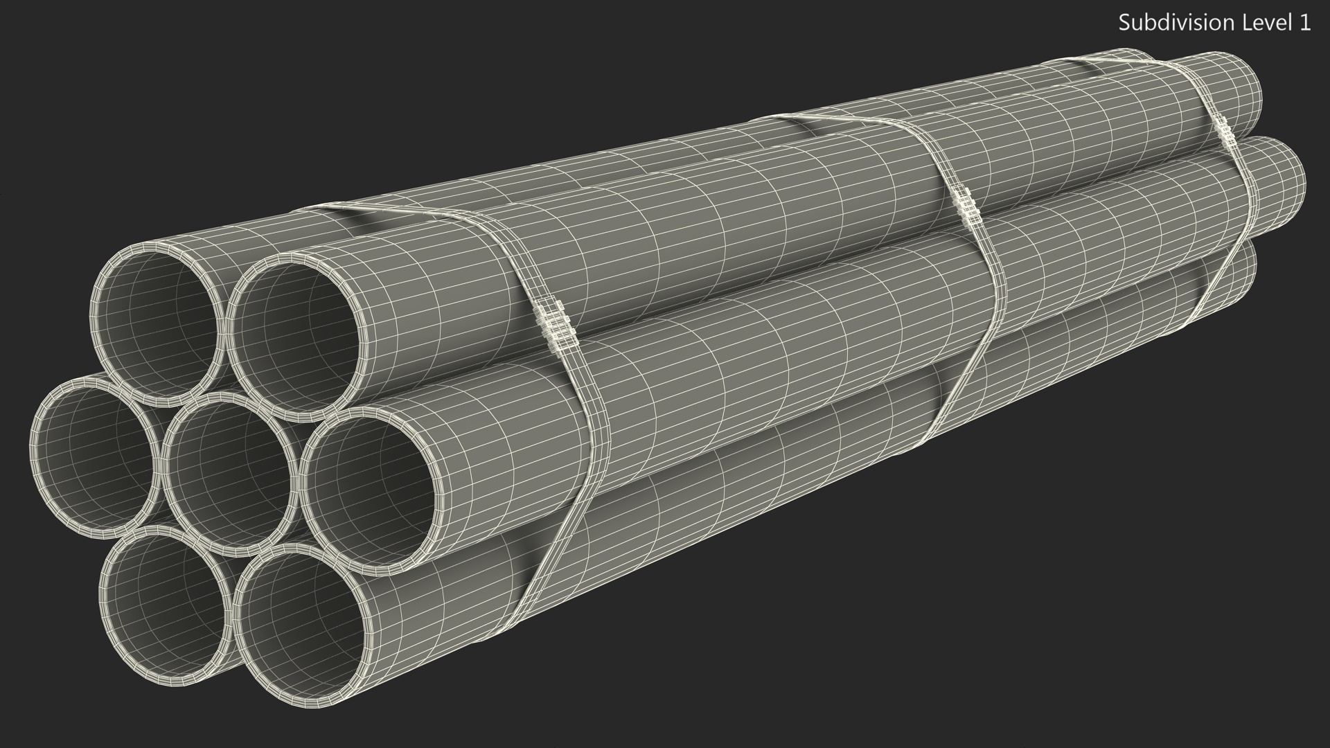 3D model Thick Plastic Pipes Bundle 2 Meters