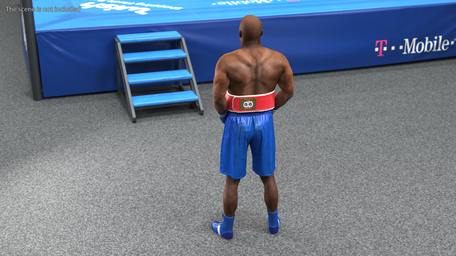 3D model International Boxing Federation Champion