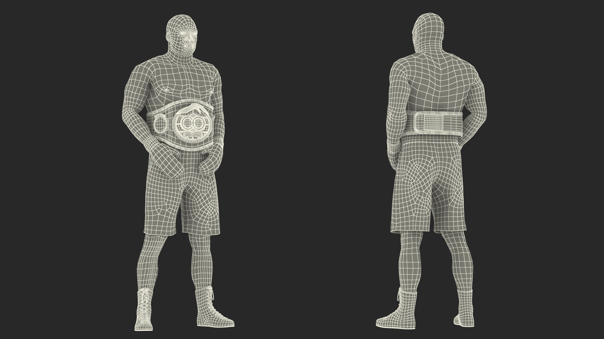 3D model International Boxing Federation Champion