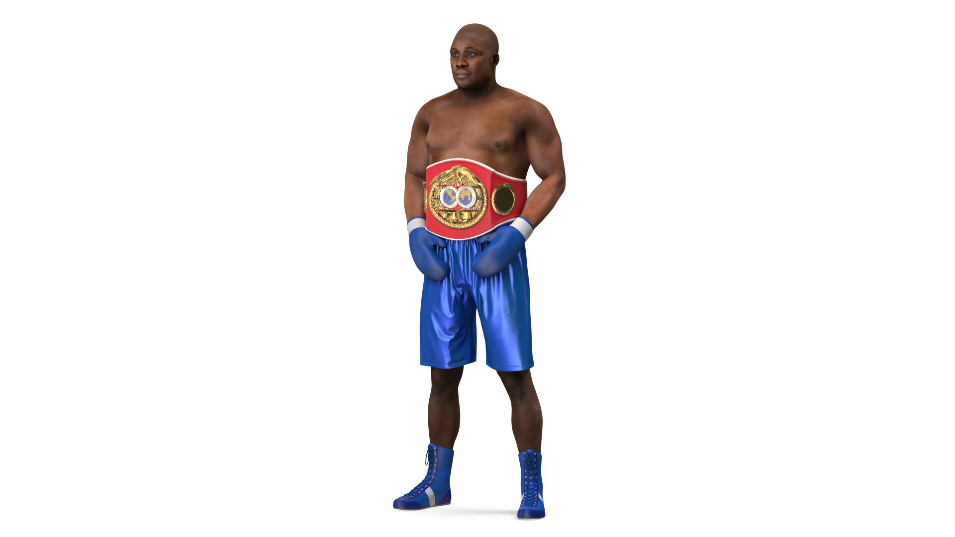 3D model International Boxing Federation Champion