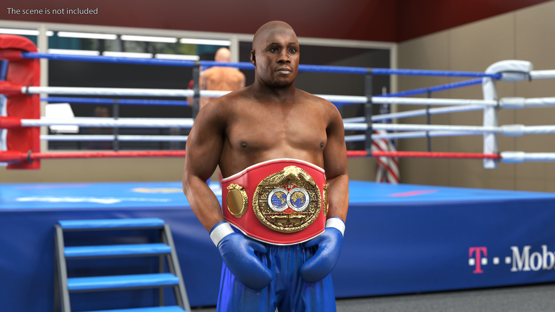 3D model International Boxing Federation Champion