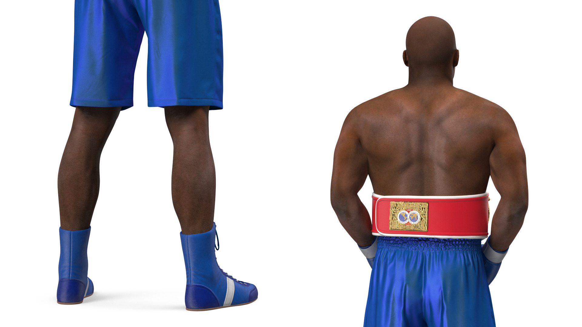 3D model International Boxing Federation Champion