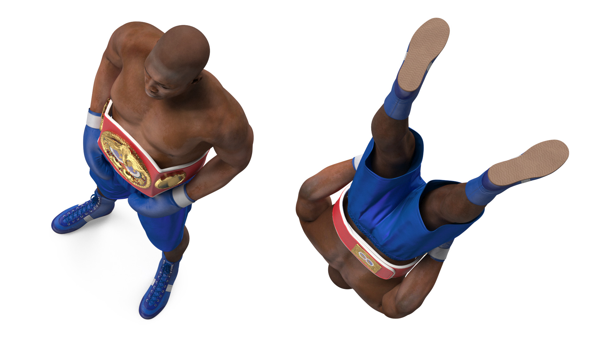 3D model International Boxing Federation Champion