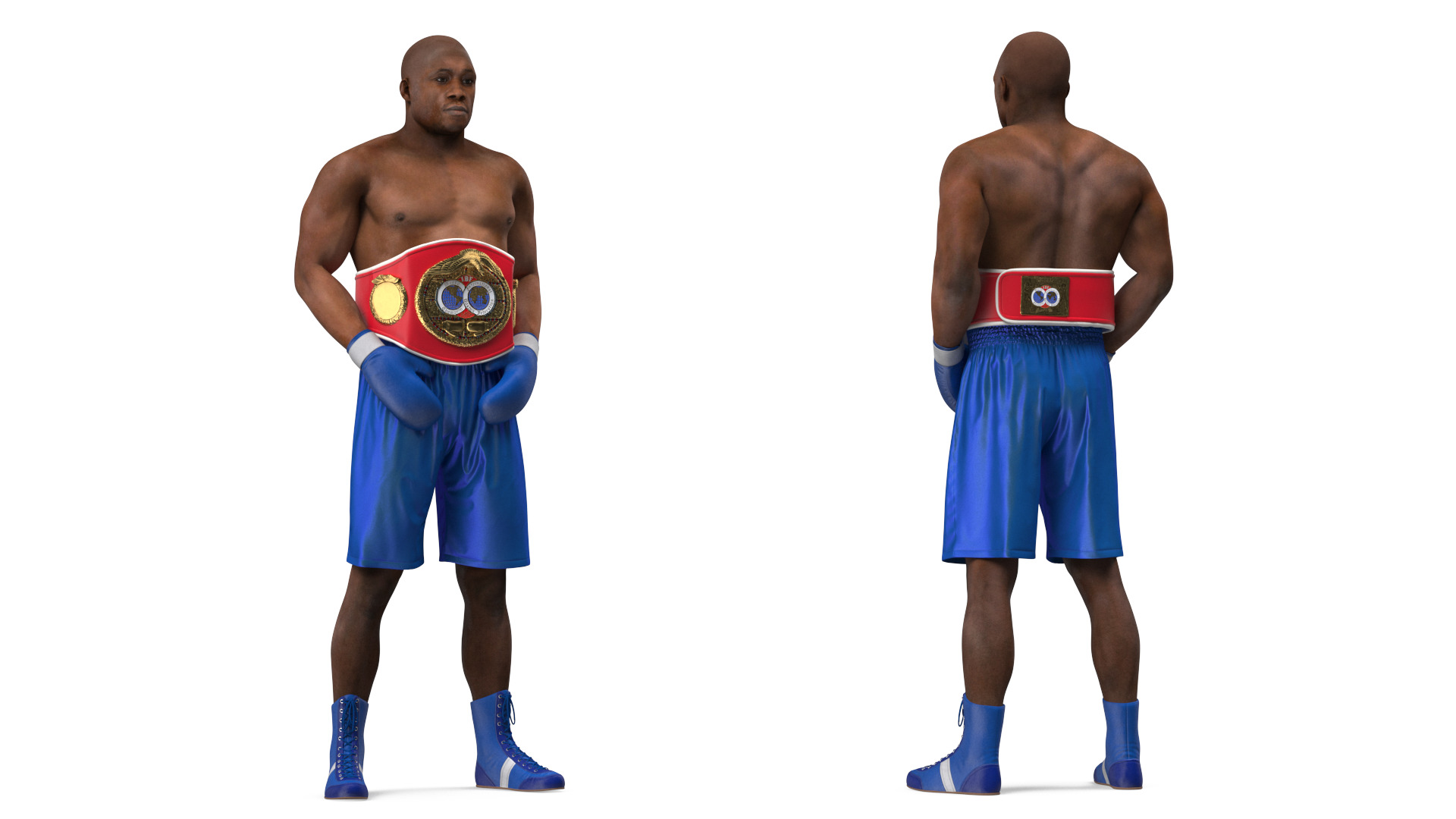 3D model International Boxing Federation Champion