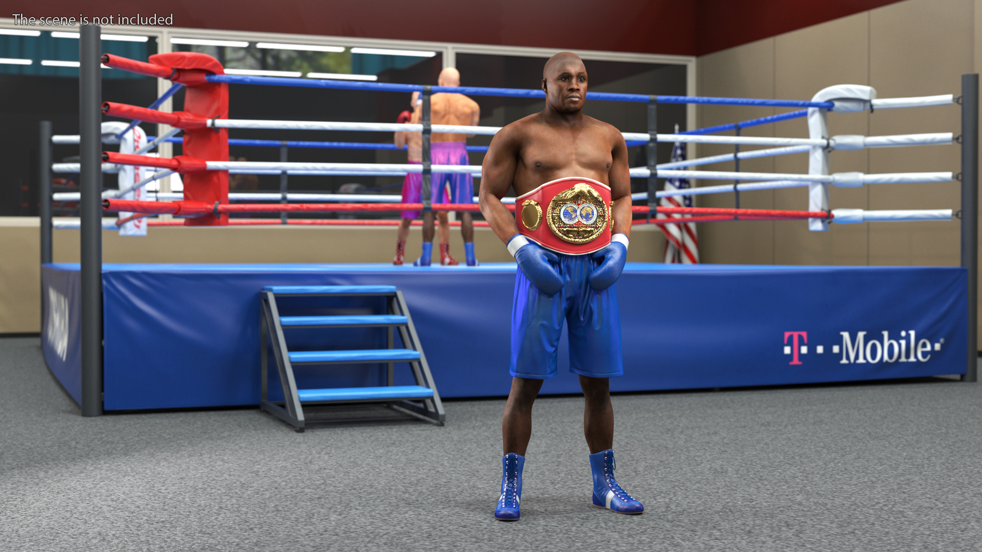 3D model International Boxing Federation Champion