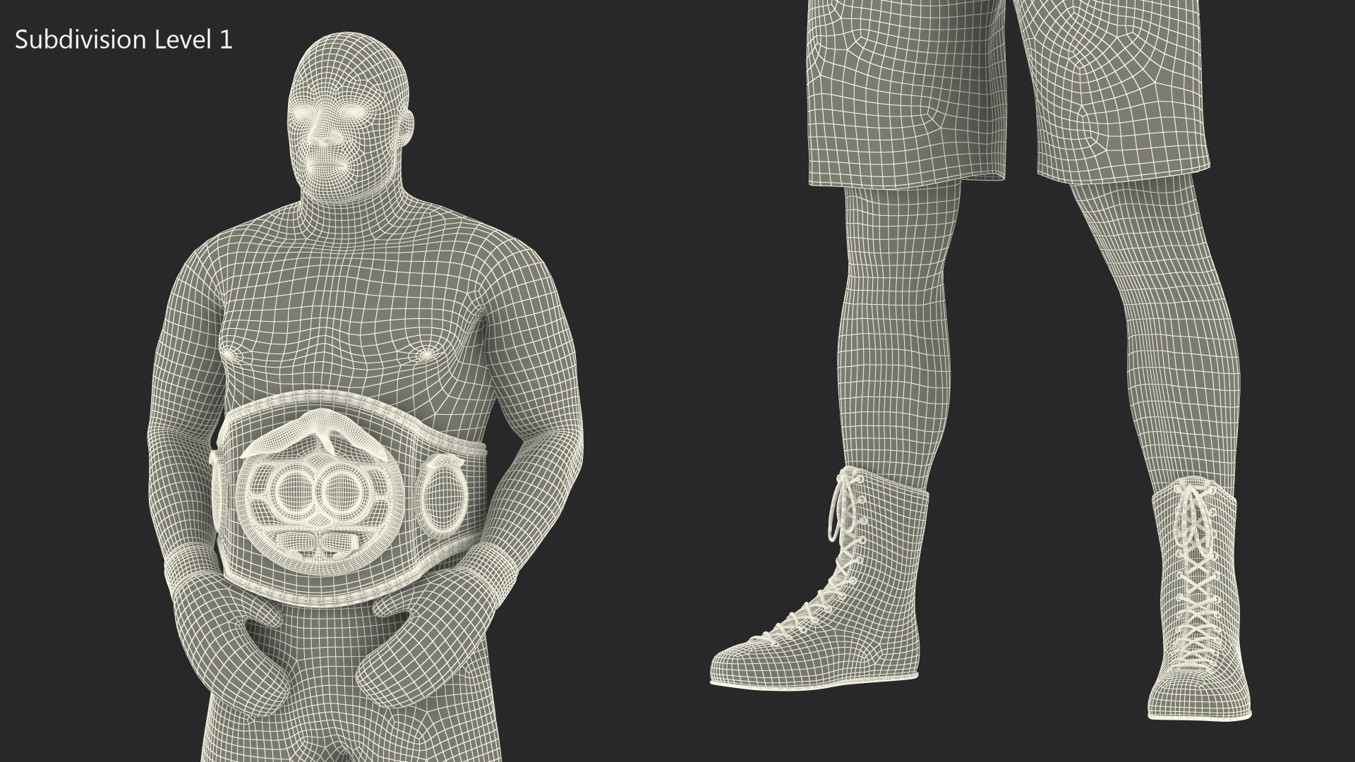 3D model International Boxing Federation Champion