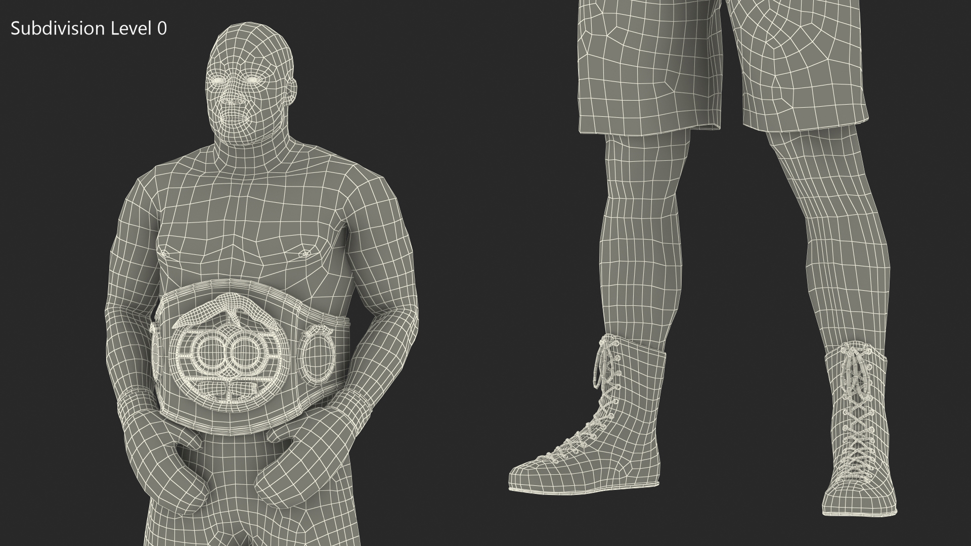 3D model International Boxing Federation Champion