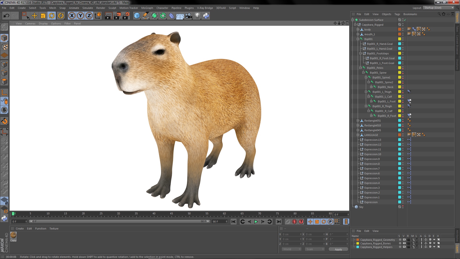 Capybara Rigged for Cinema 4D 3D model