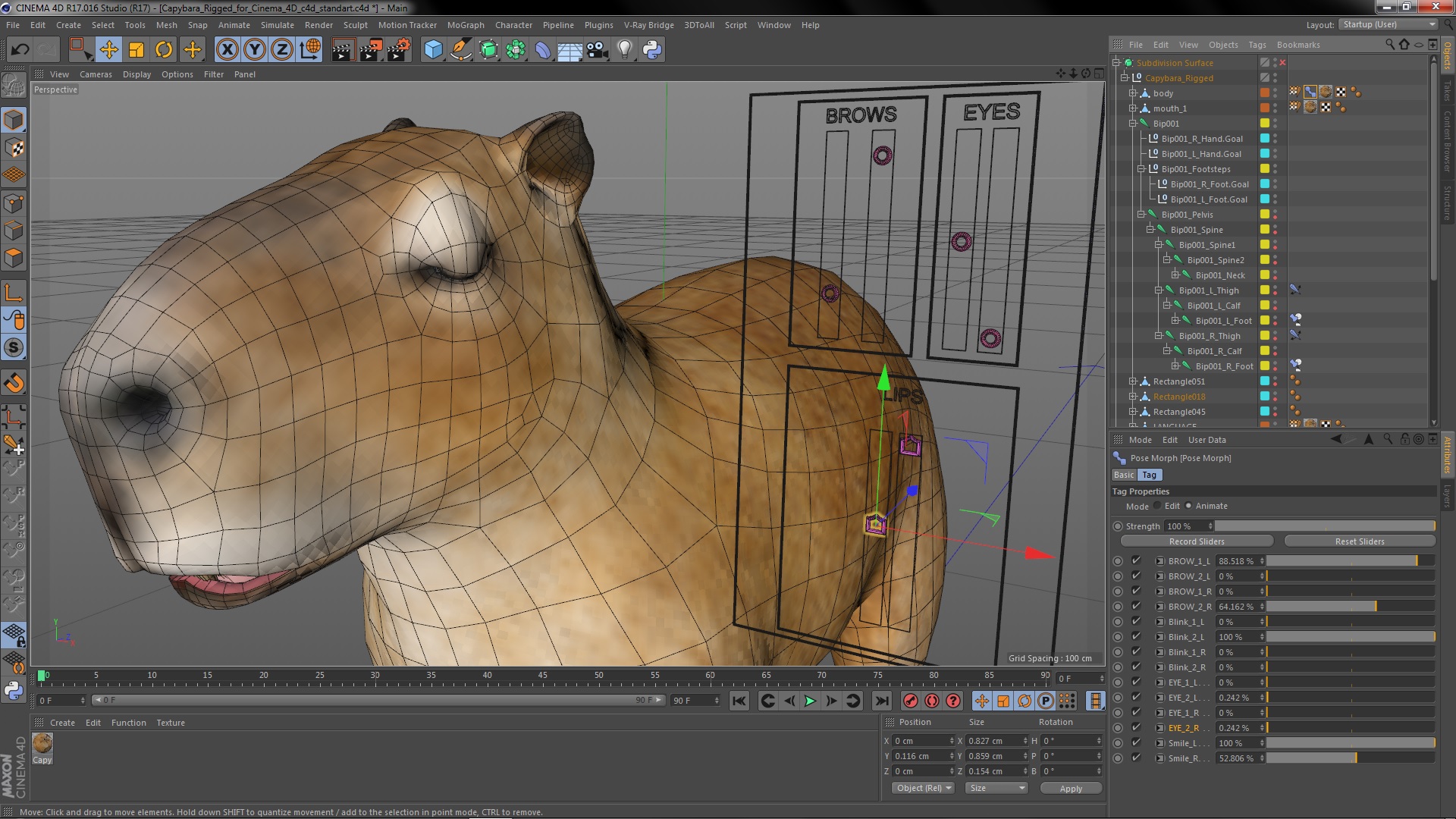 Capybara Rigged for Cinema 4D 3D model