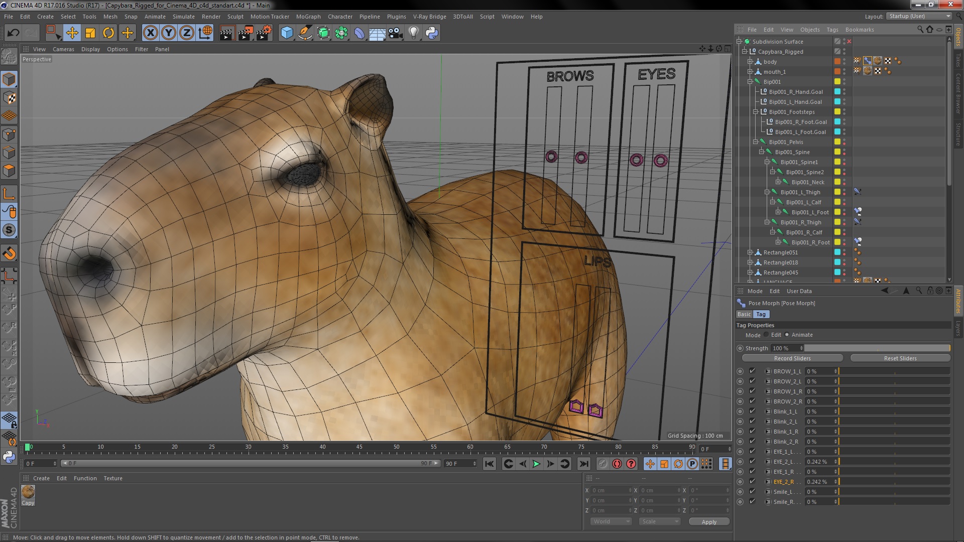 Capybara Rigged for Cinema 4D 3D model