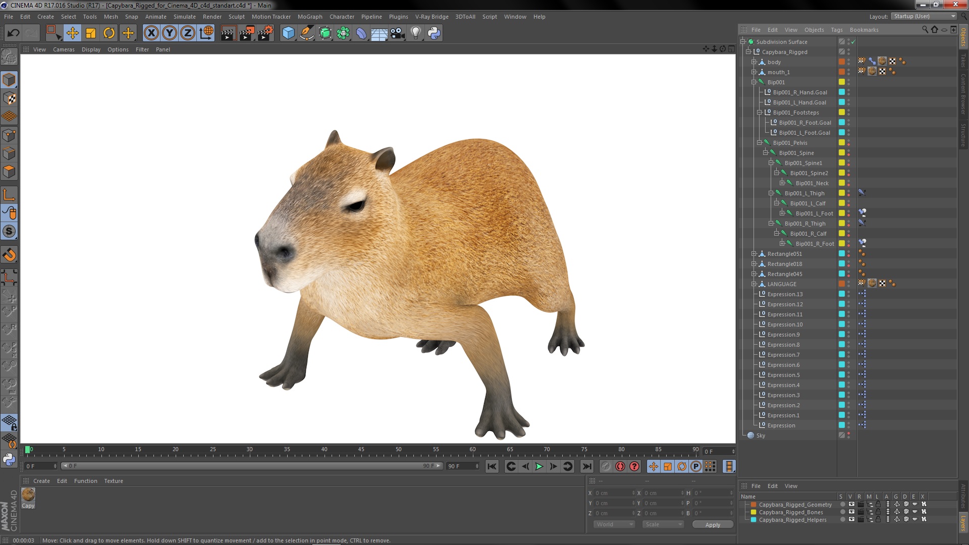 Capybara Rigged for Cinema 4D 3D model