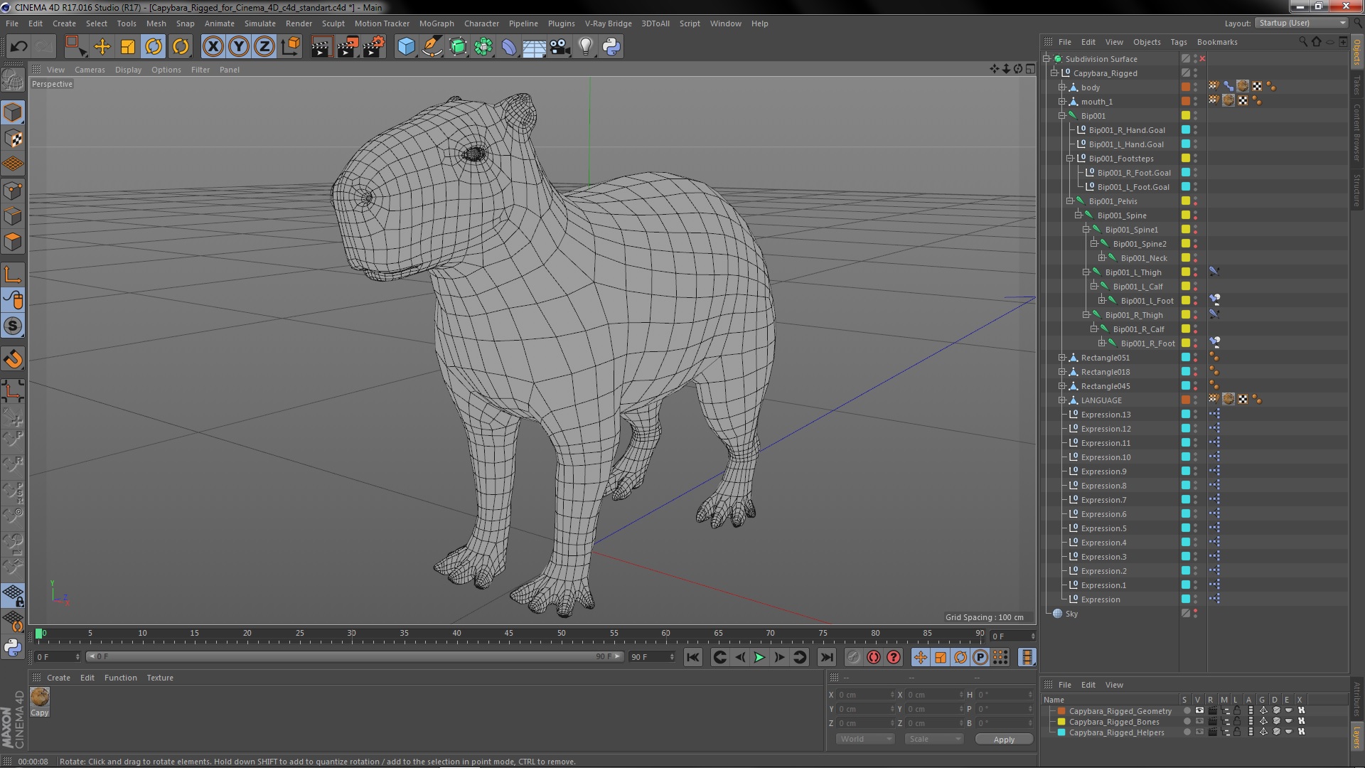 Capybara Rigged for Cinema 4D 3D model