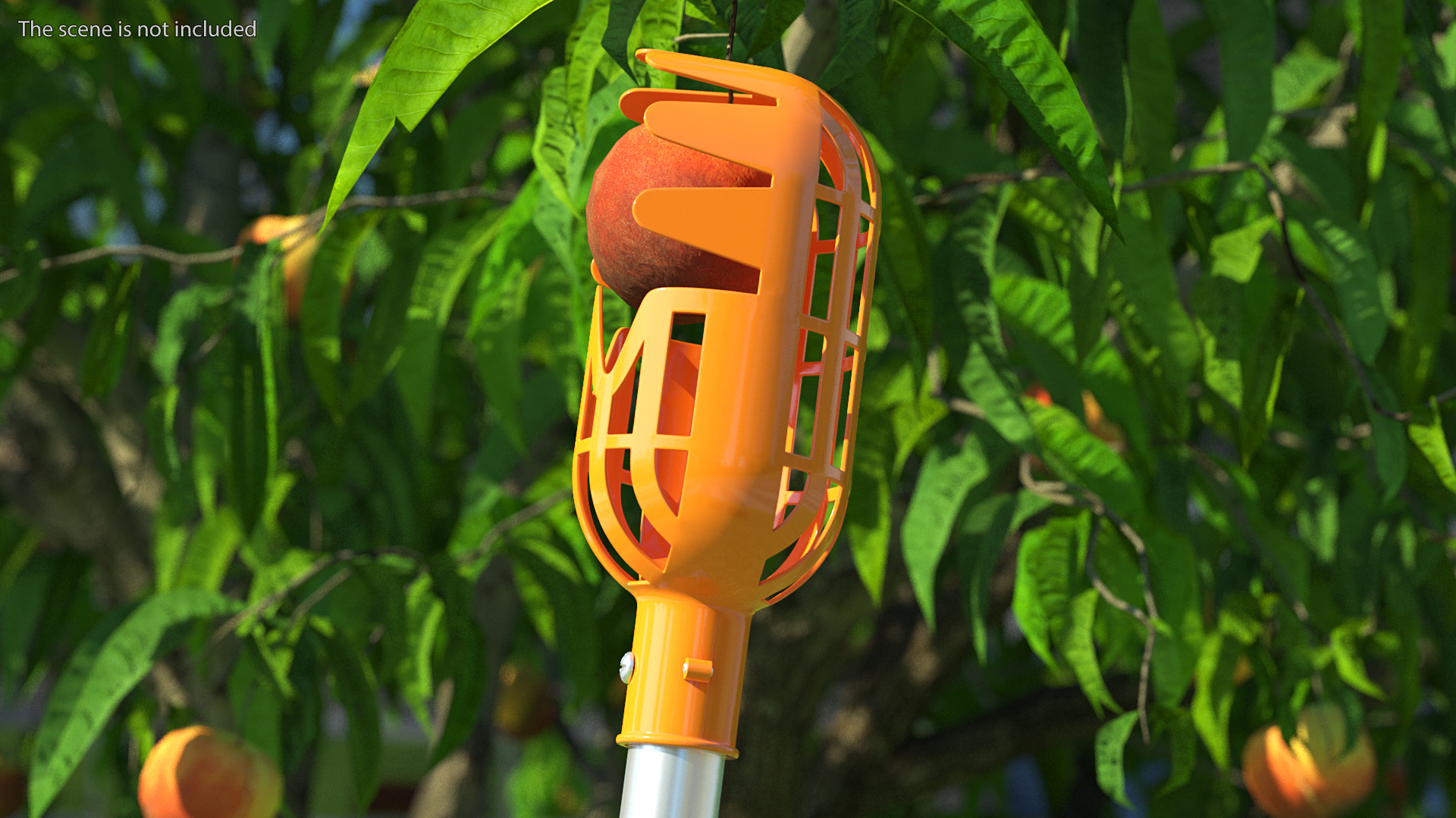 Fruit Picker Pole with Plastic Basket 3D